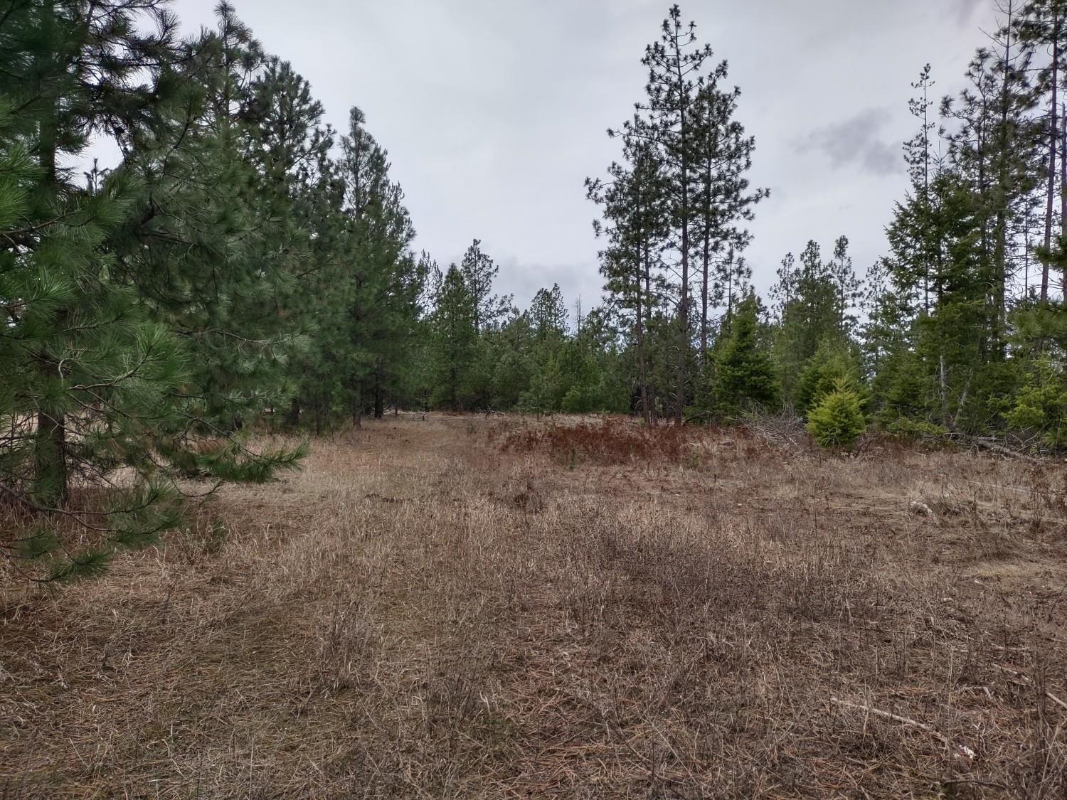 xx Lyons Hill Rd - Photo 12