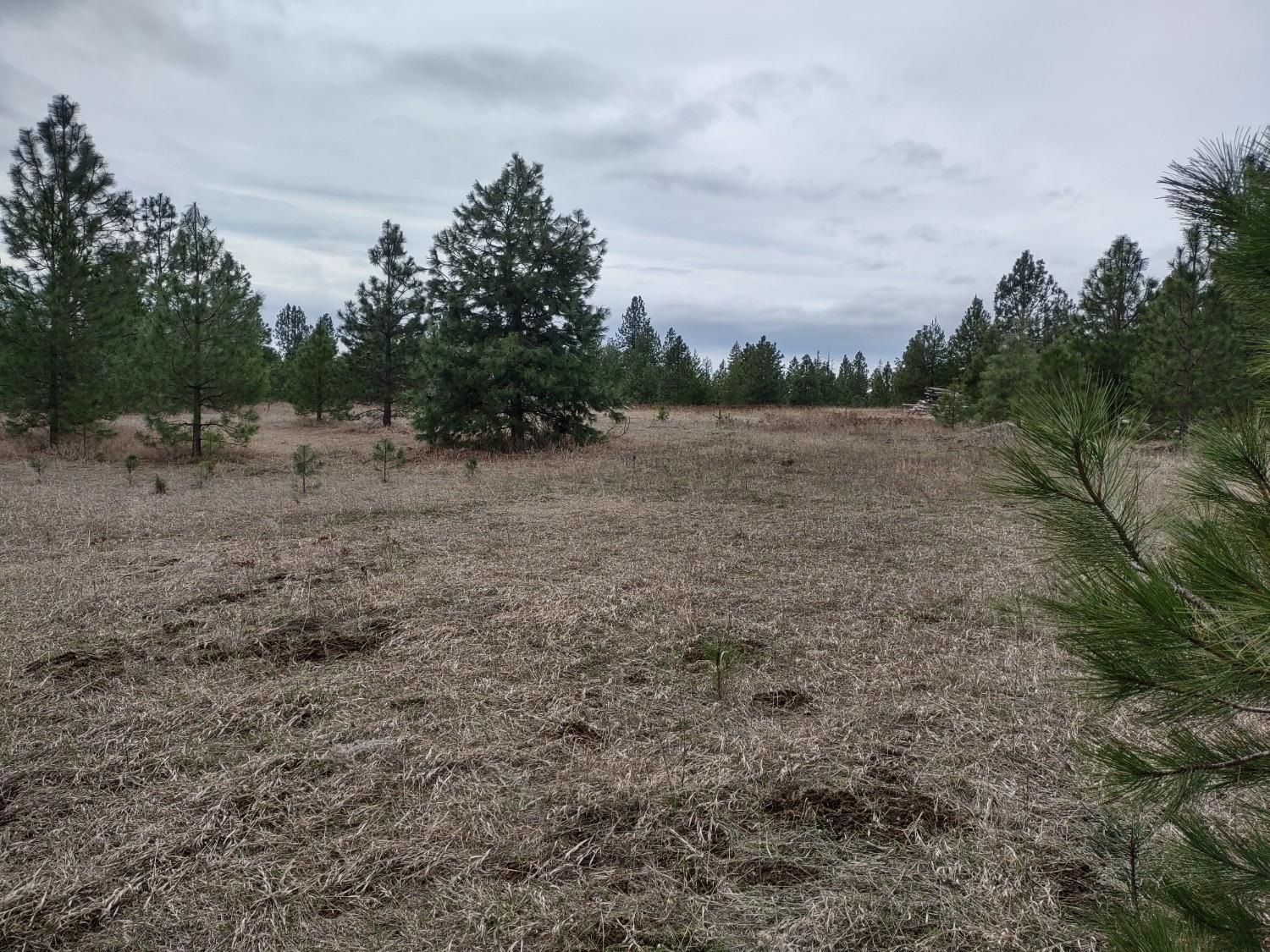xx Lyons Hill Rd - Photo 14
