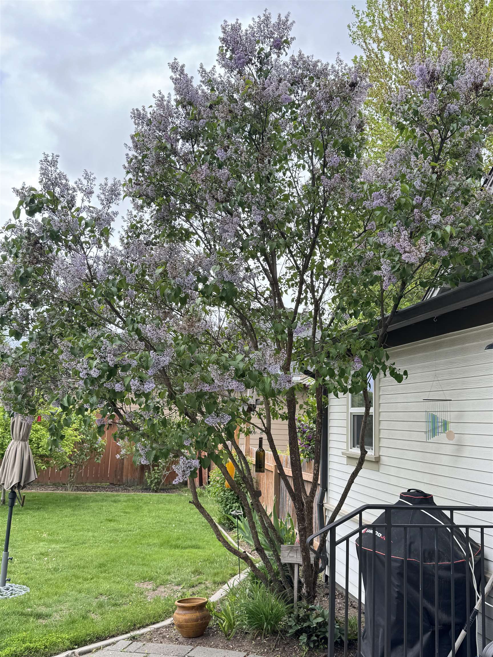 820 N Vernon Ave - Photo 45