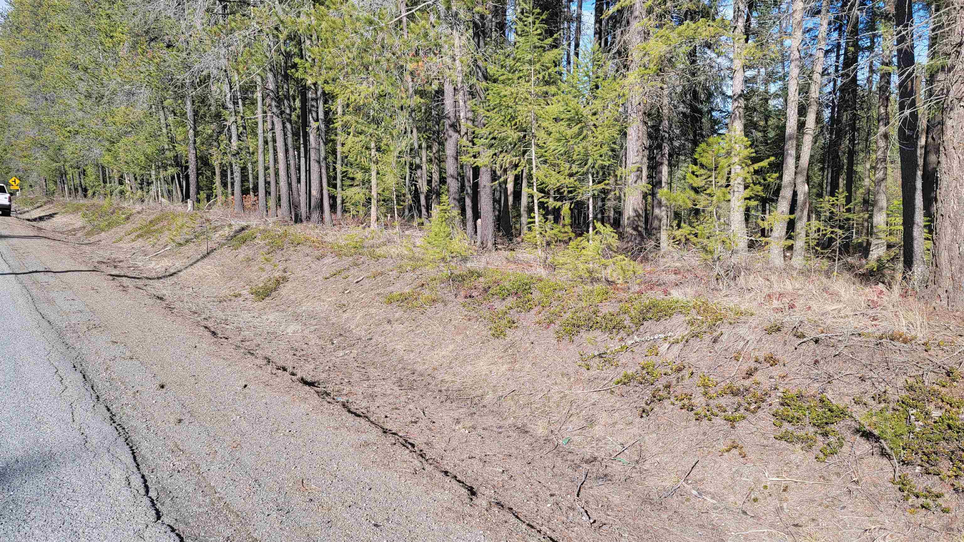 NKN Spring Valley Rd - Photo 1