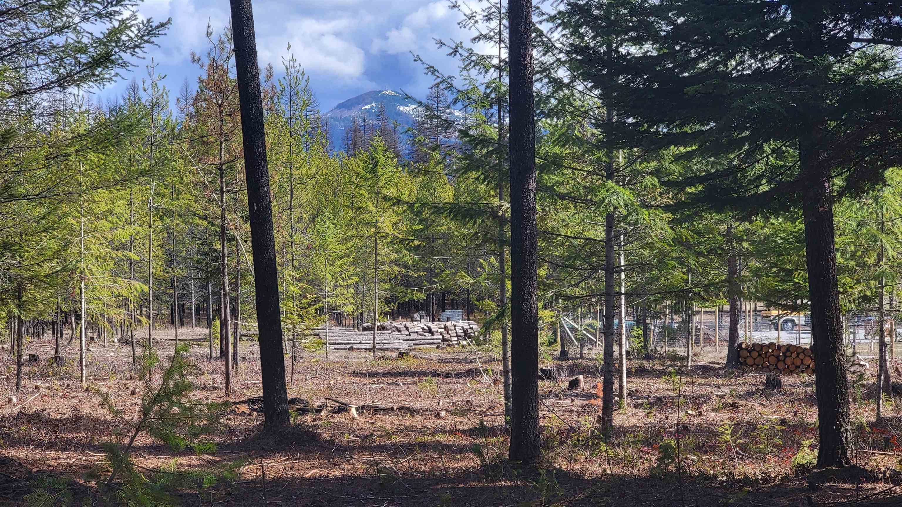 NKN Spring Valley Rd - Photo 11