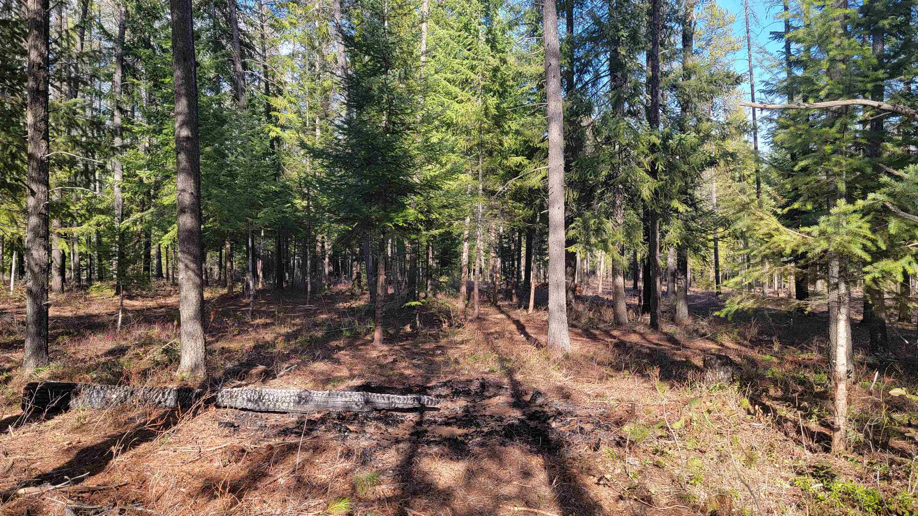 NKN Spring Valley Rd - Photo 12