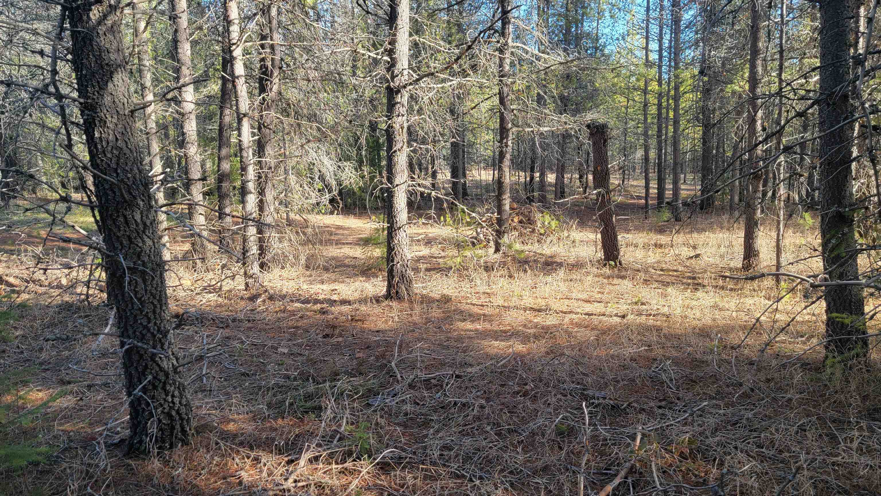 NKN Spring Valley Rd - Photo 14