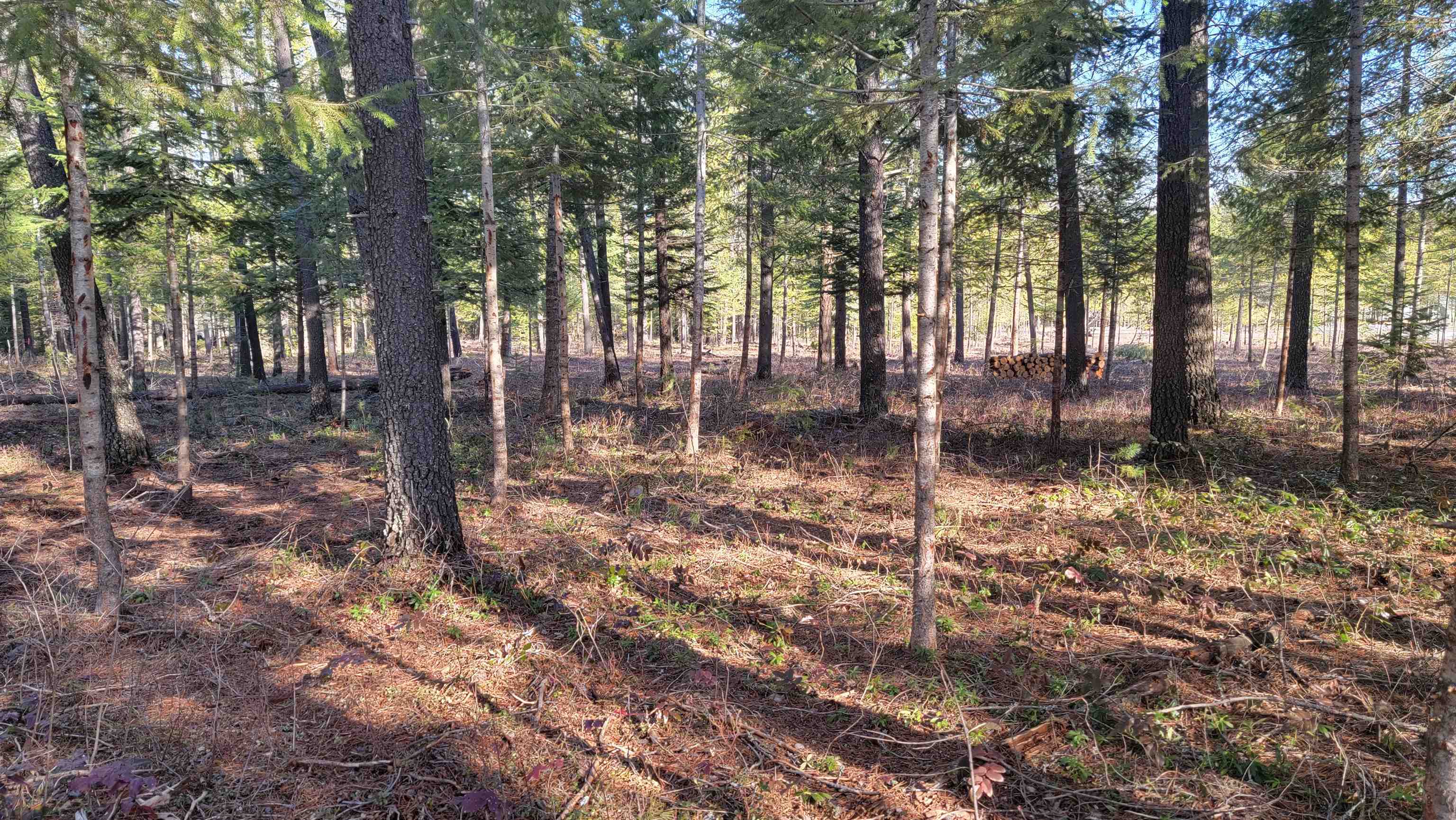 NKN Spring Valley Rd - Photo 15