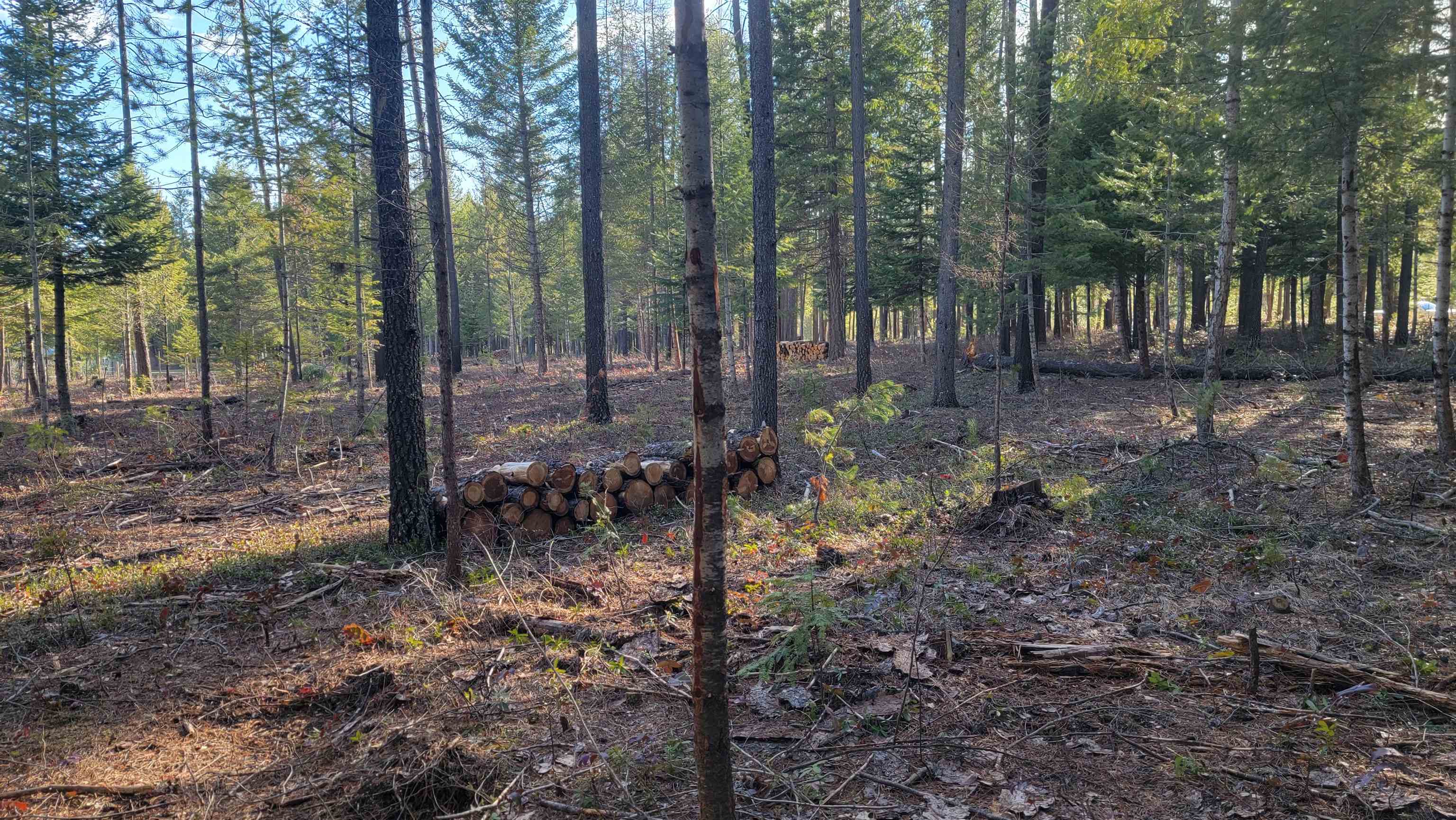 NKN Spring Valley Rd - Photo 16