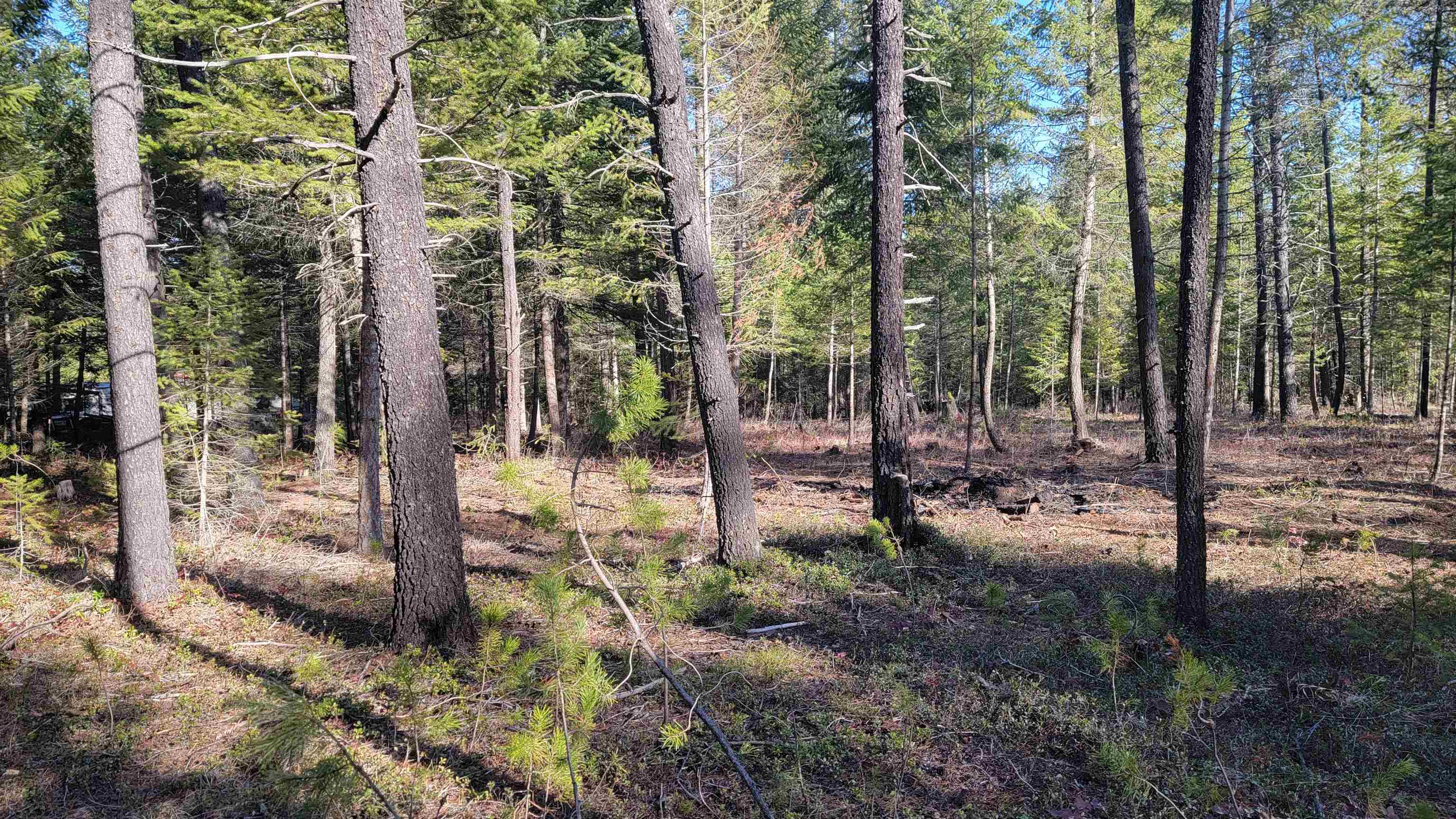 NKN Spring Valley Rd - Photo 17