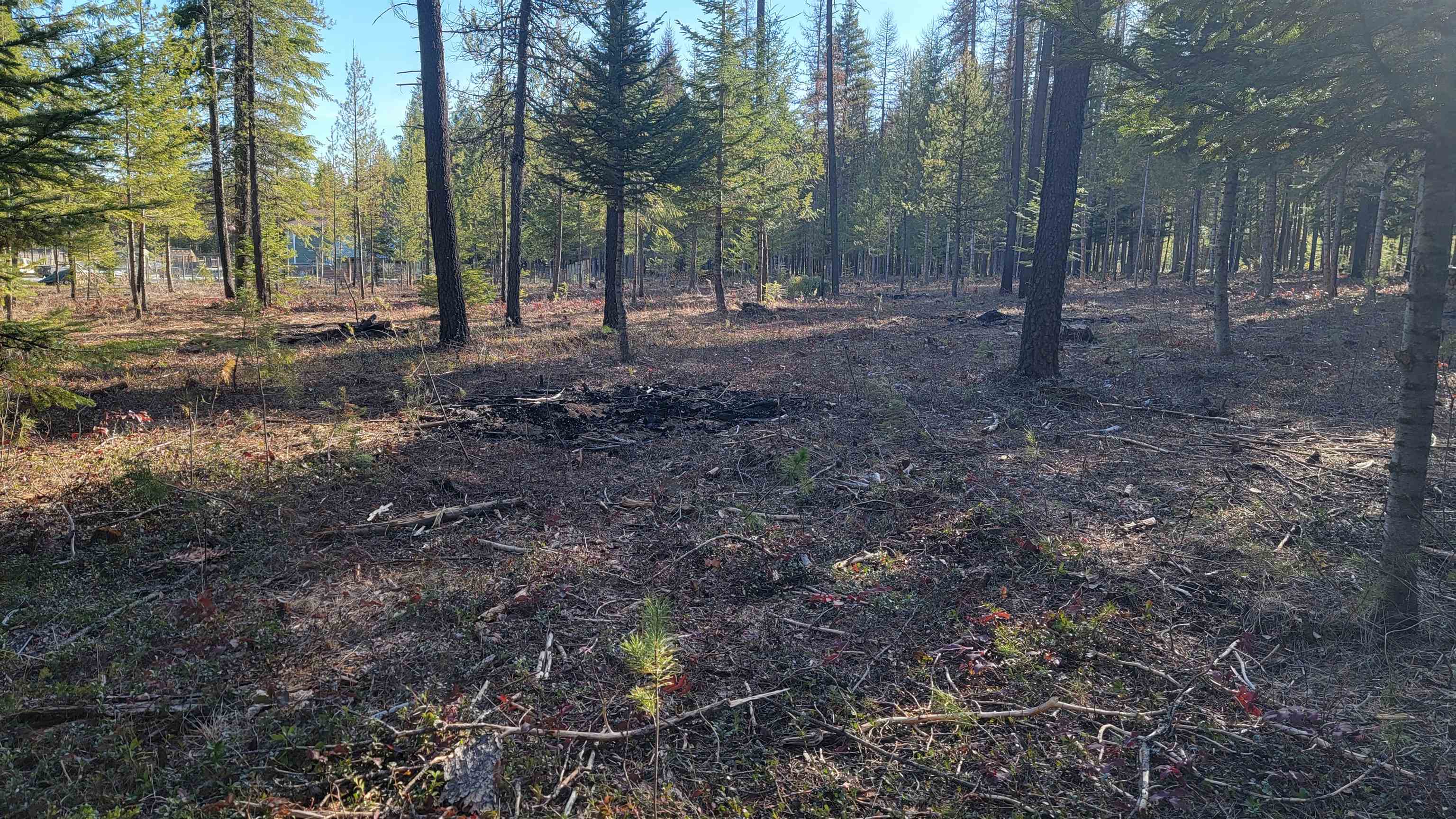 NKN Spring Valley Rd - Photo 18