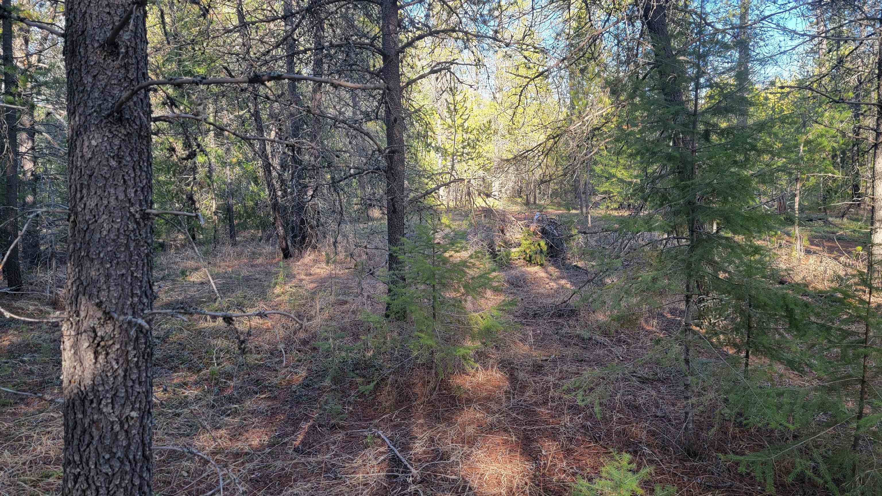 NKN Spring Valley Rd - Photo 19