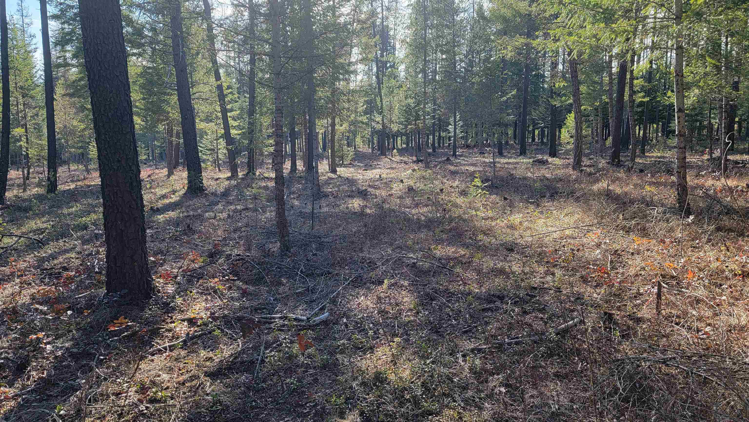 NKN Spring Valley Rd - Photo 20