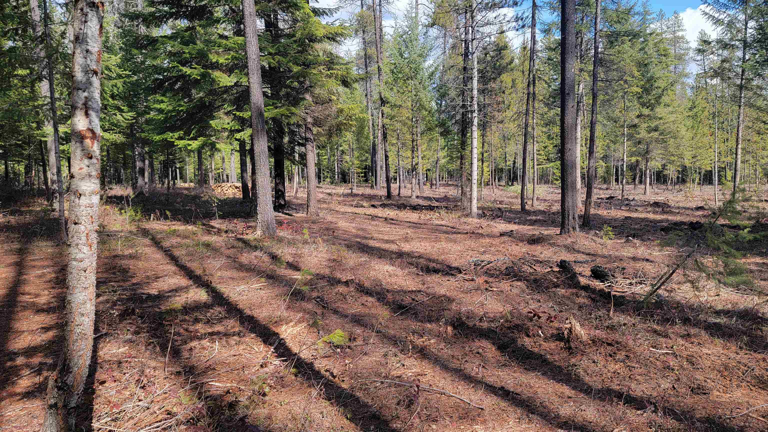 NKN Spring Valley Rd - Photo 3