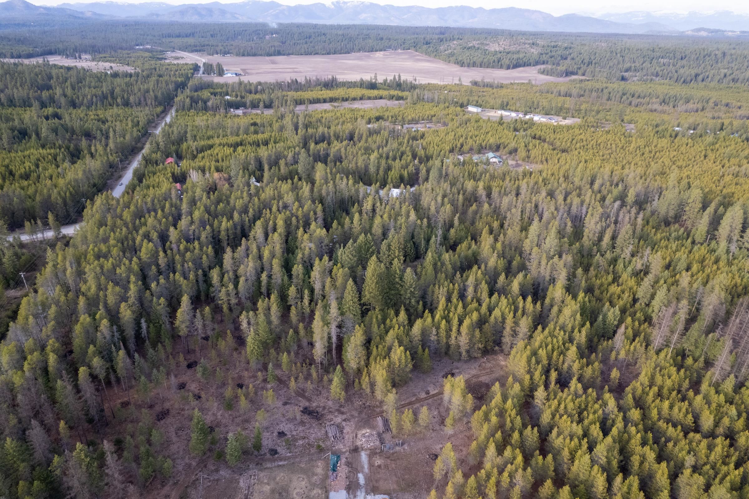 NKN Spring Valley Rd - Photo 26