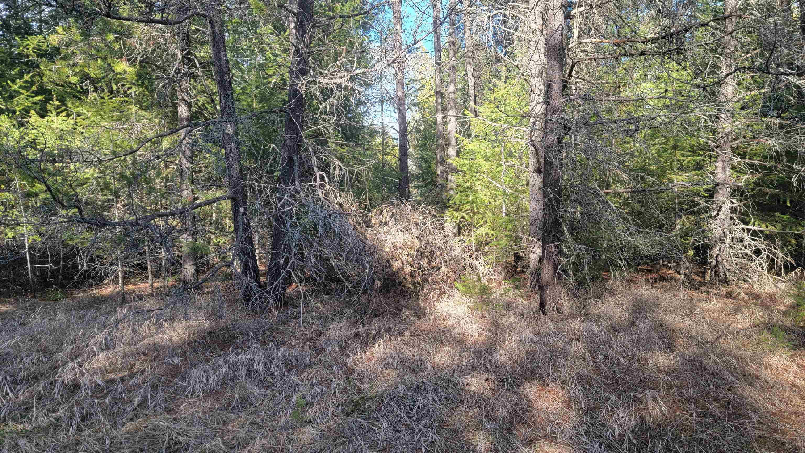 NKN Spring Valley Rd - Photo 28