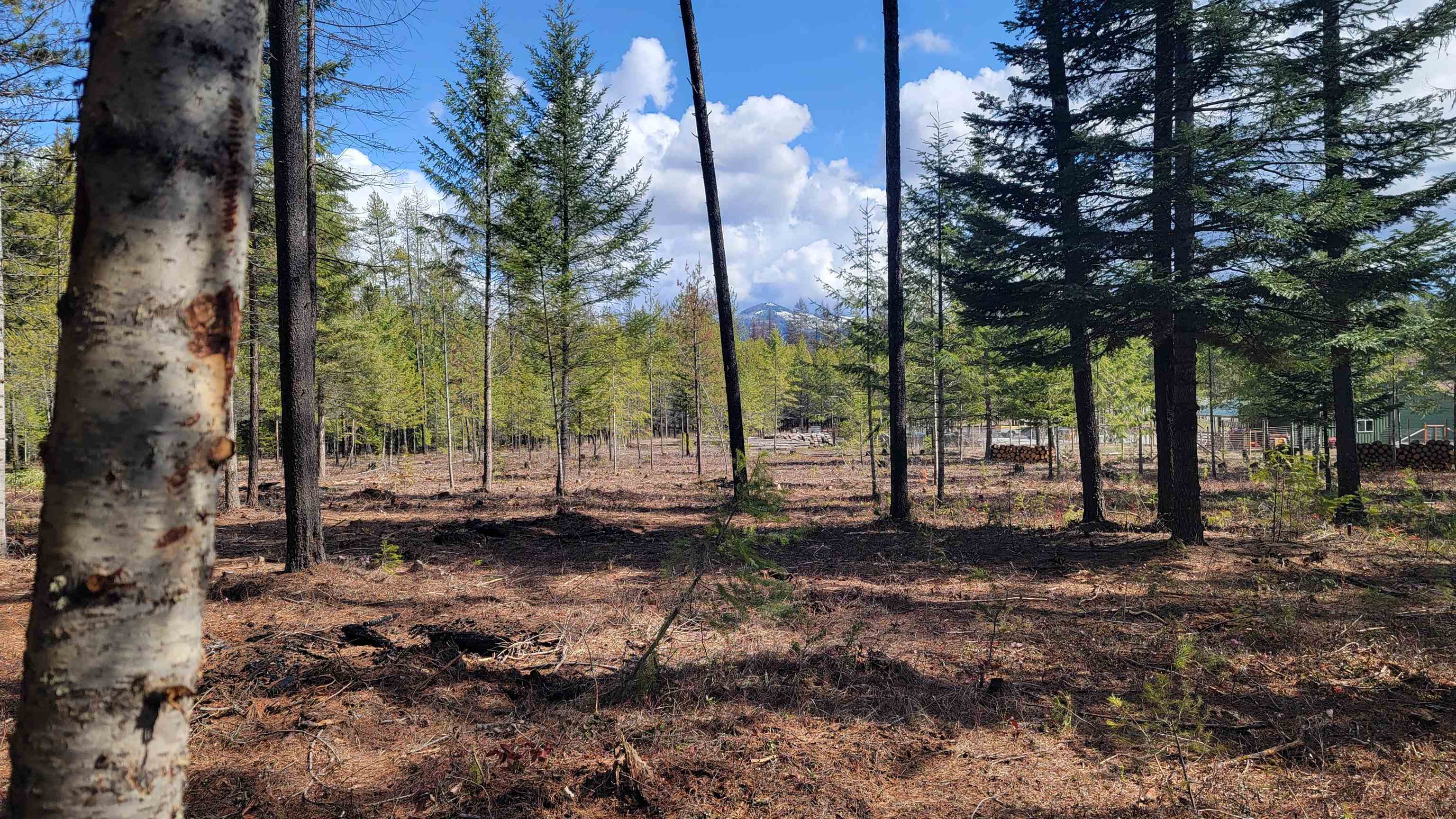 NKN Spring Valley Rd - Photo 29