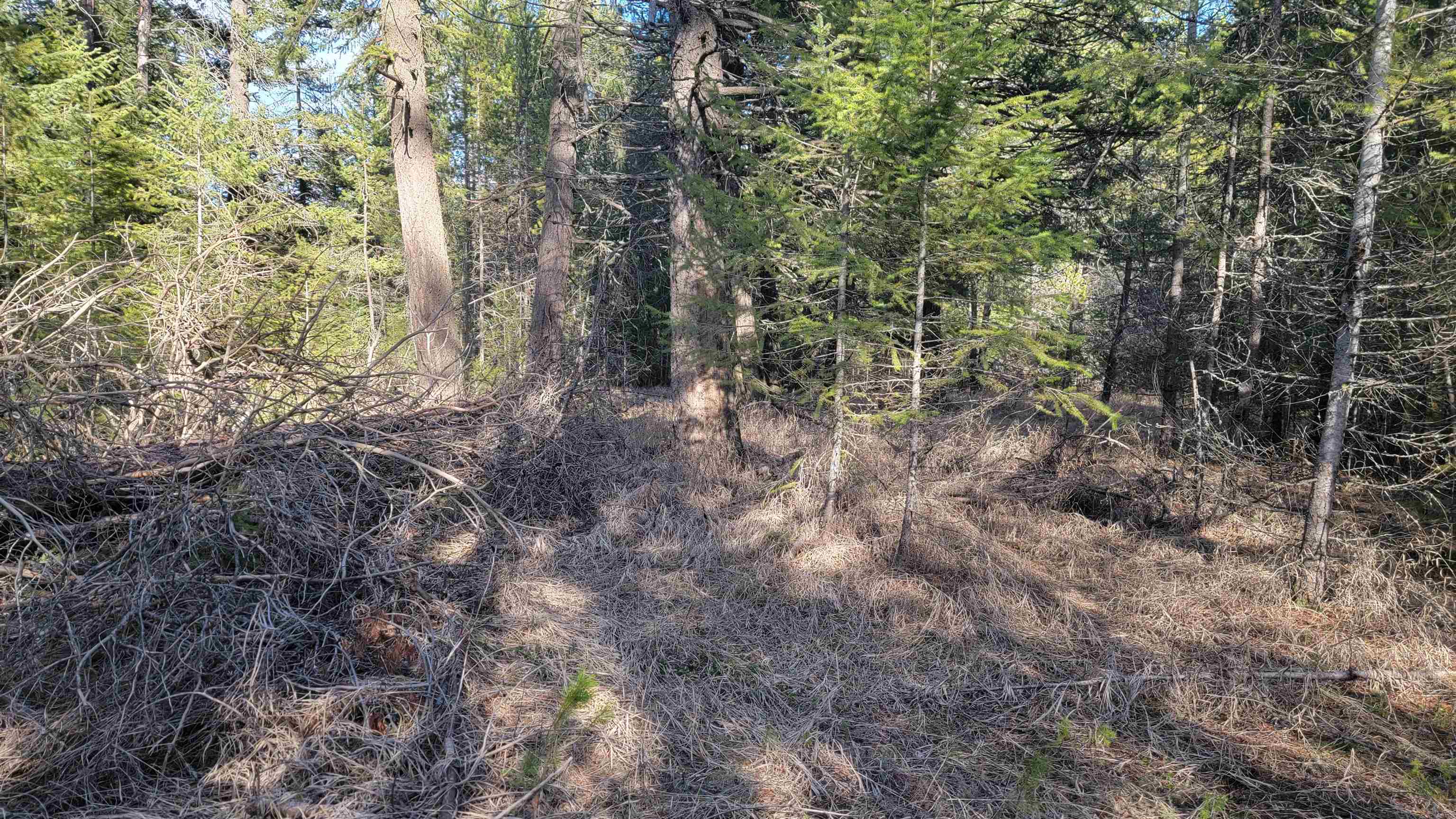 NKN Spring Valley Rd - Photo 30