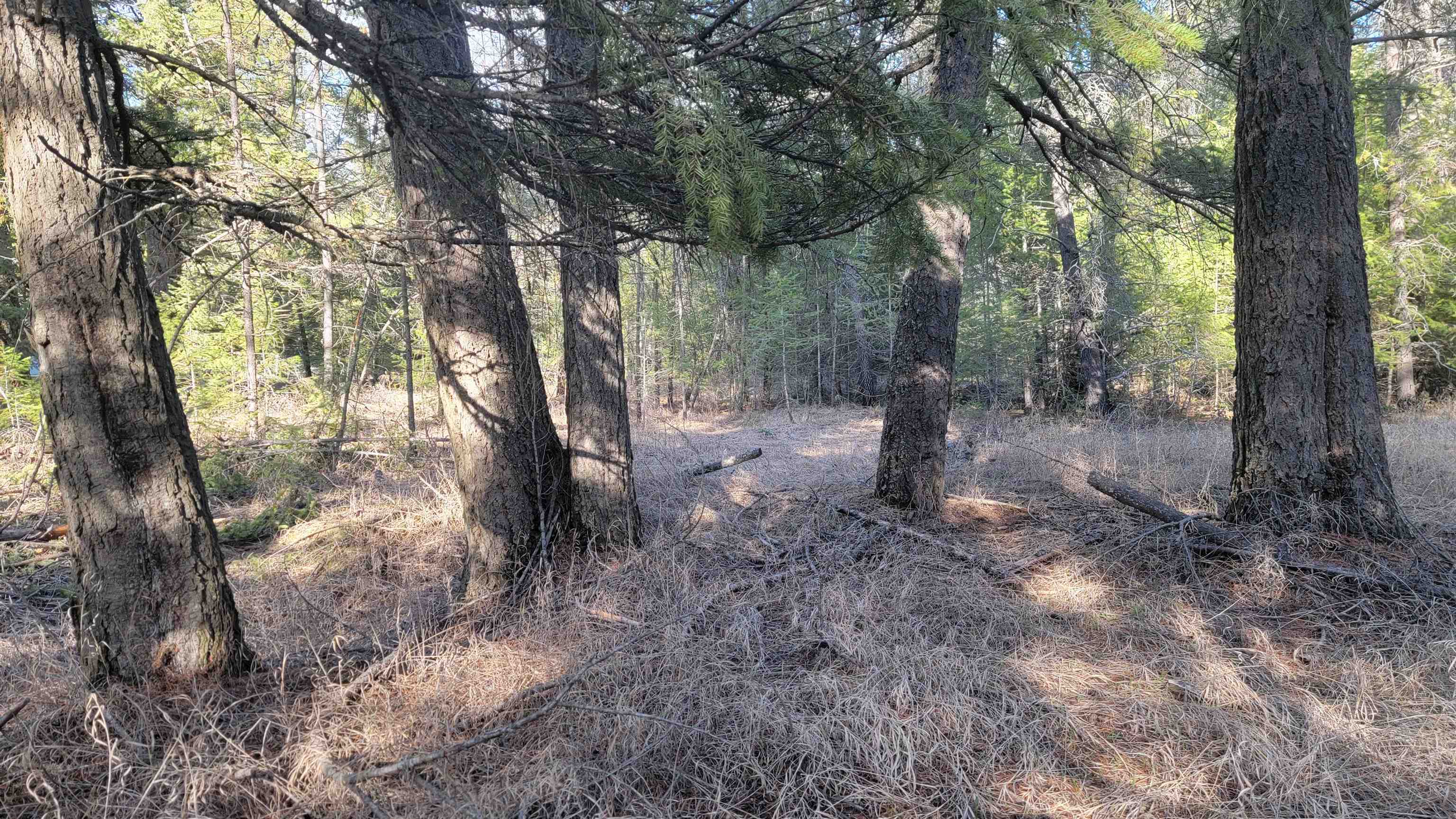 NKN Spring Valley Rd - Photo 31