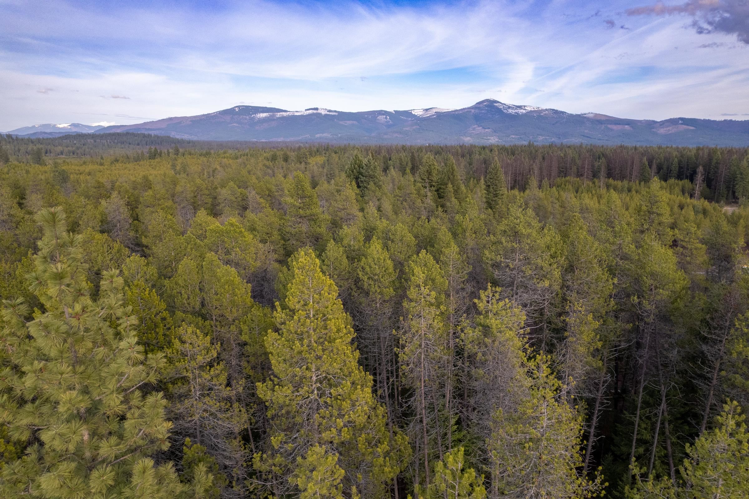 NKN Spring Valley Rd - Photo 33