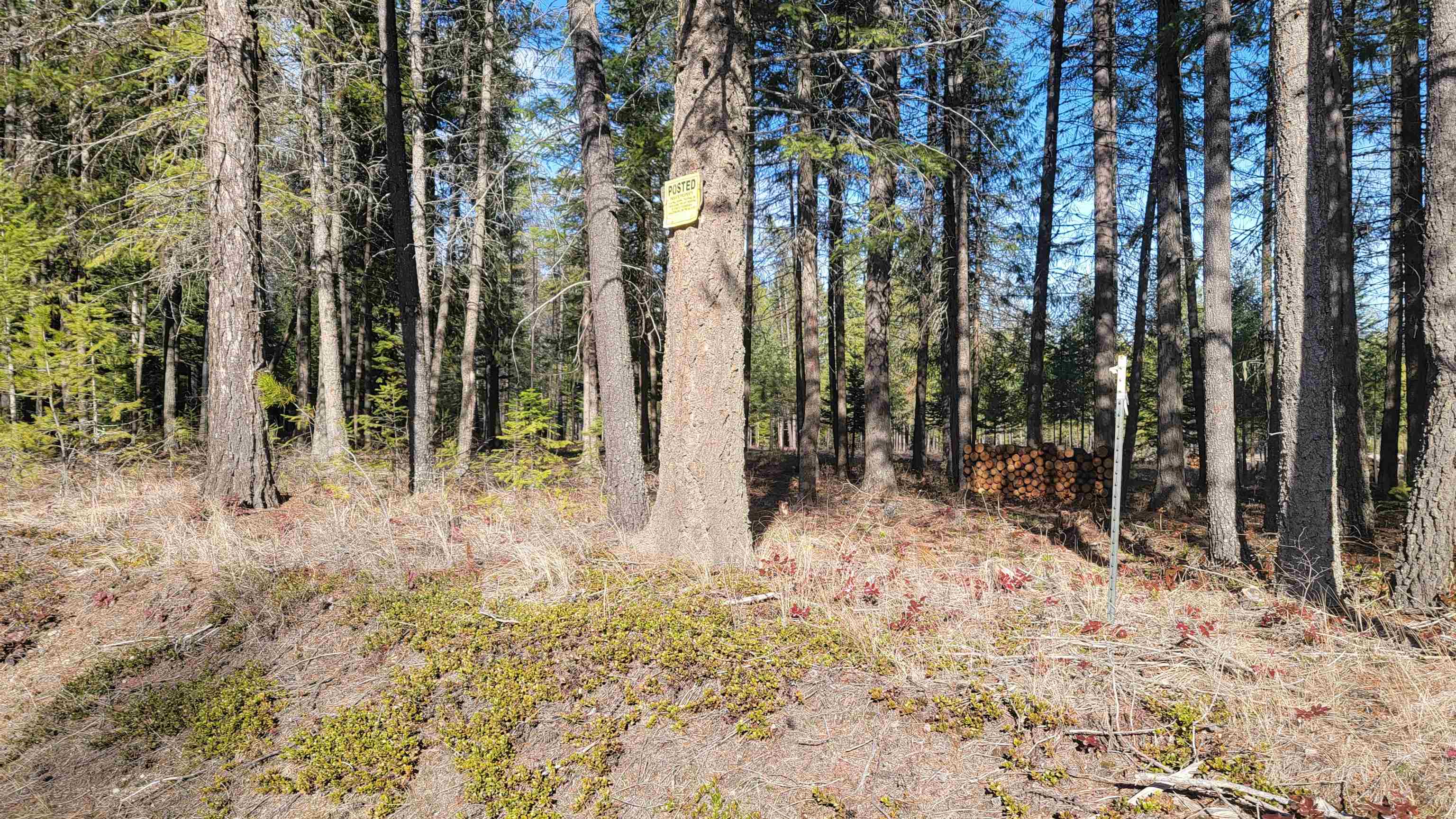 NKN Spring Valley Rd - Photo 9