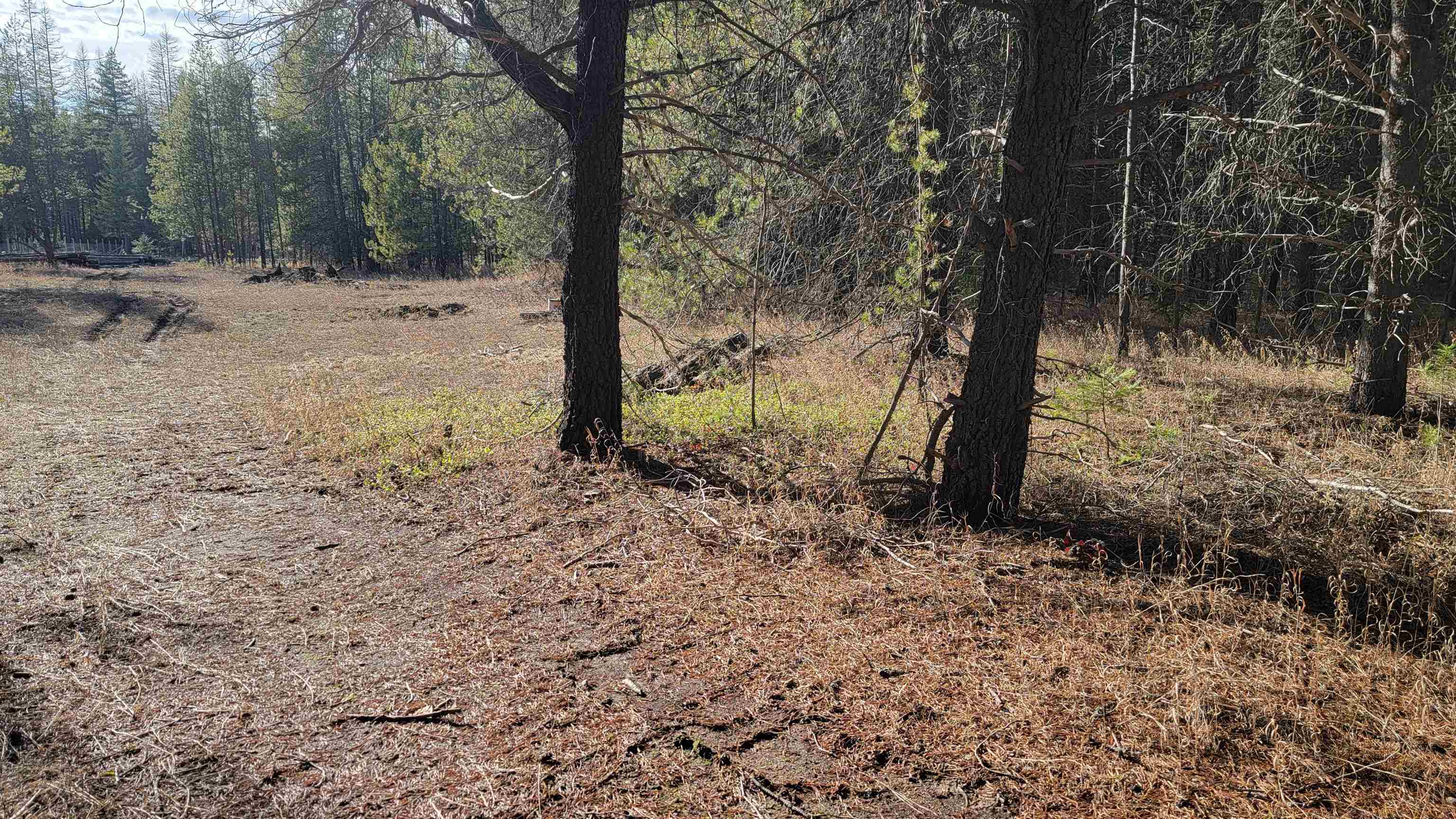 NKN Spring Valley Rd - Photo 10