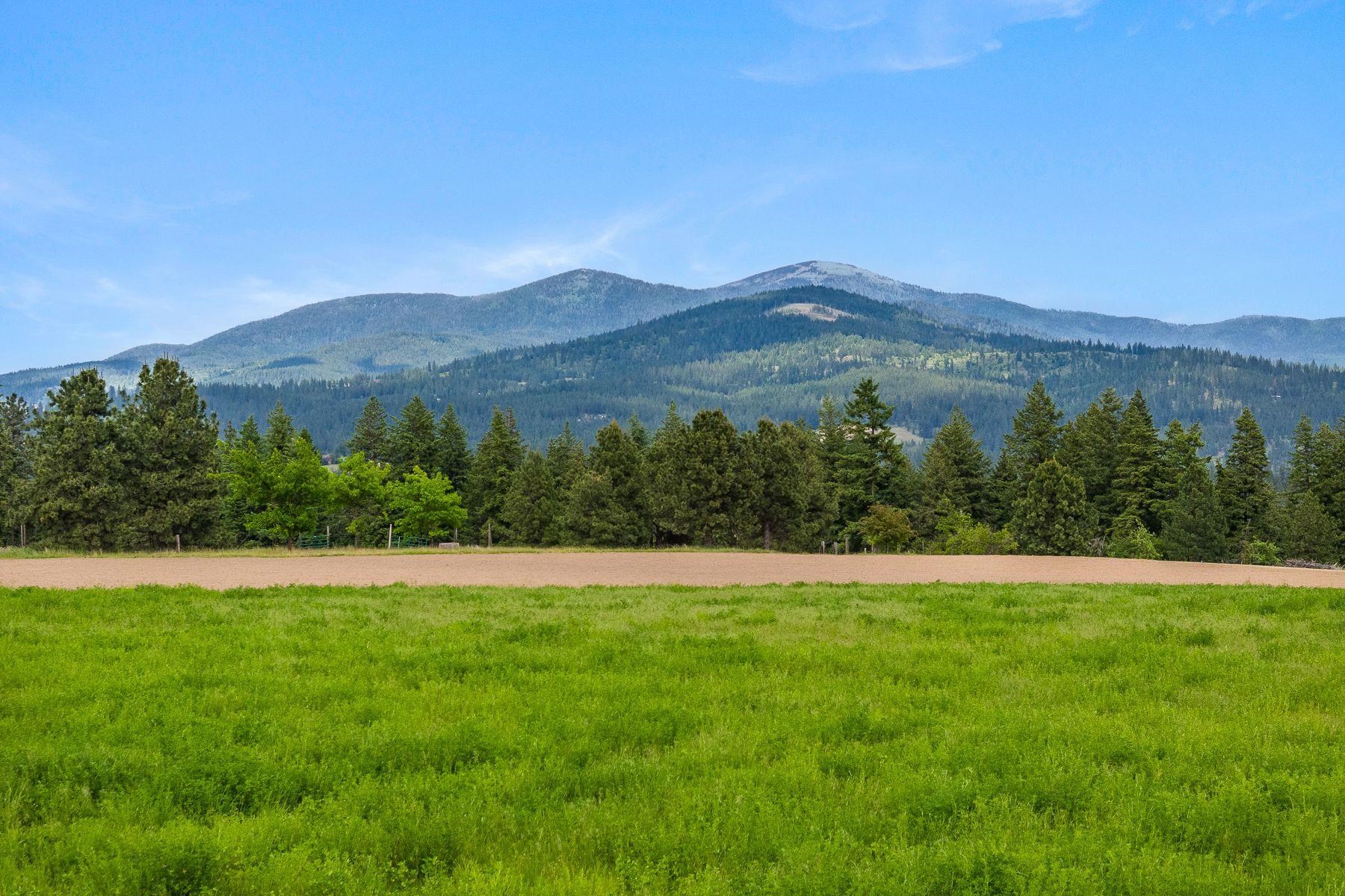 NKA E Day Mt Spokane Rd - Photo 1
