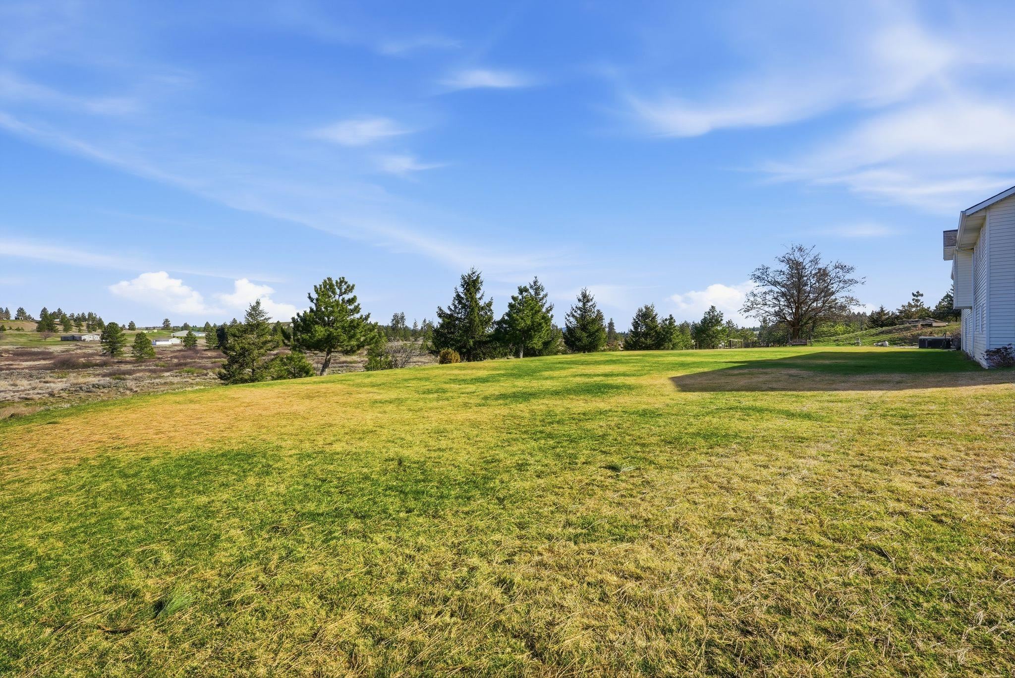 37765 Halme Dr - Photo 36