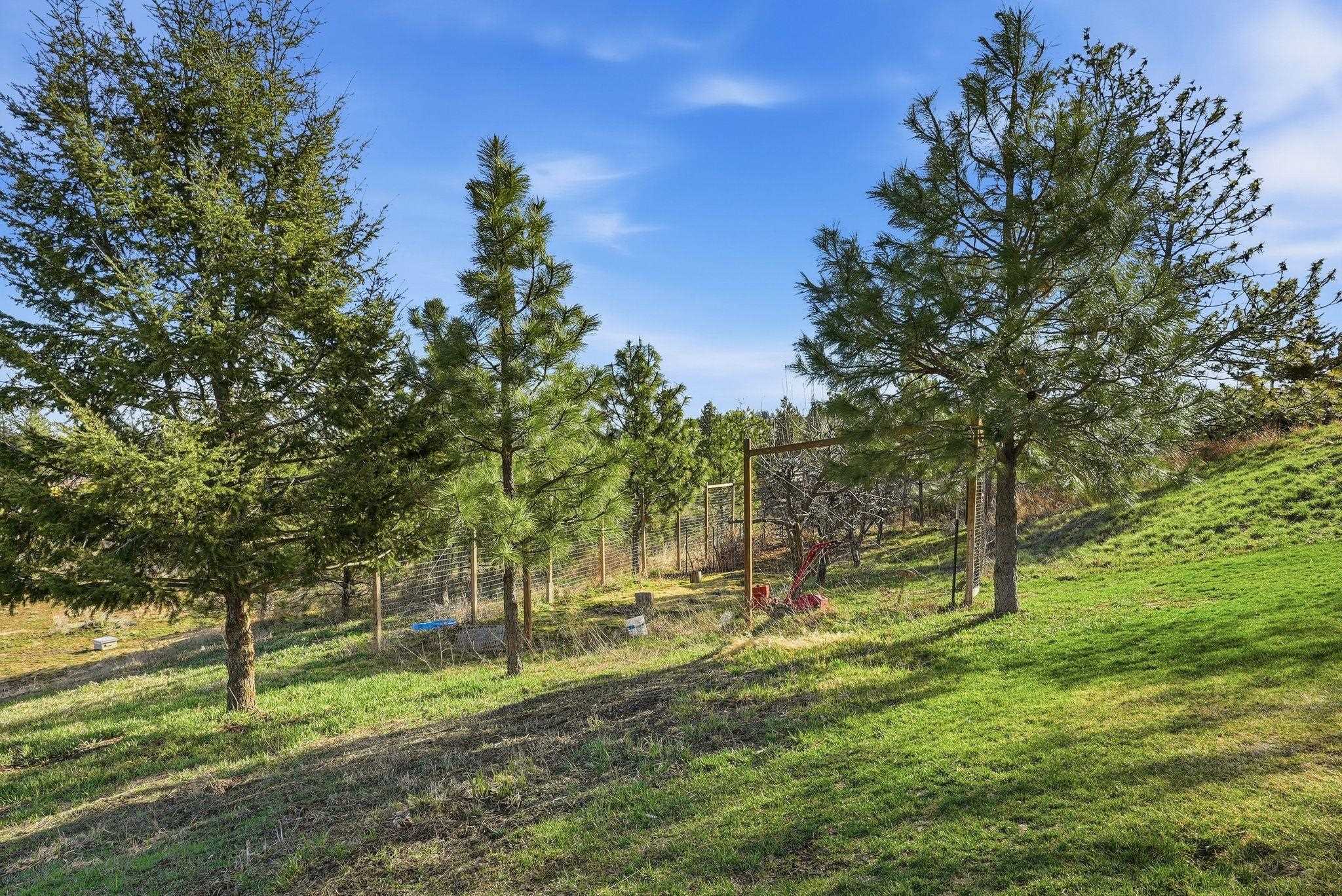 37765 Halme Dr - Photo 38