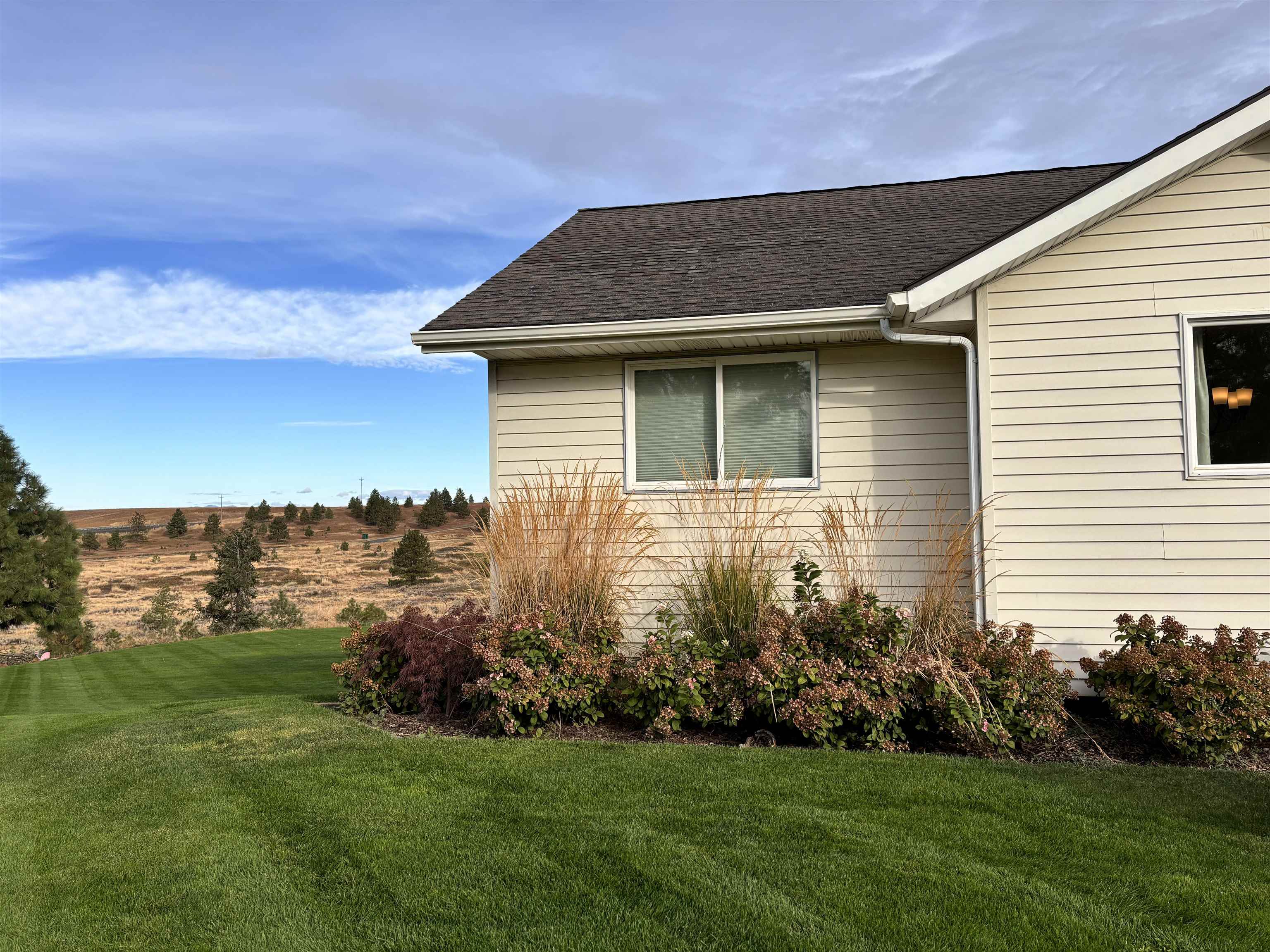 37765 Halme Dr - Photo 44