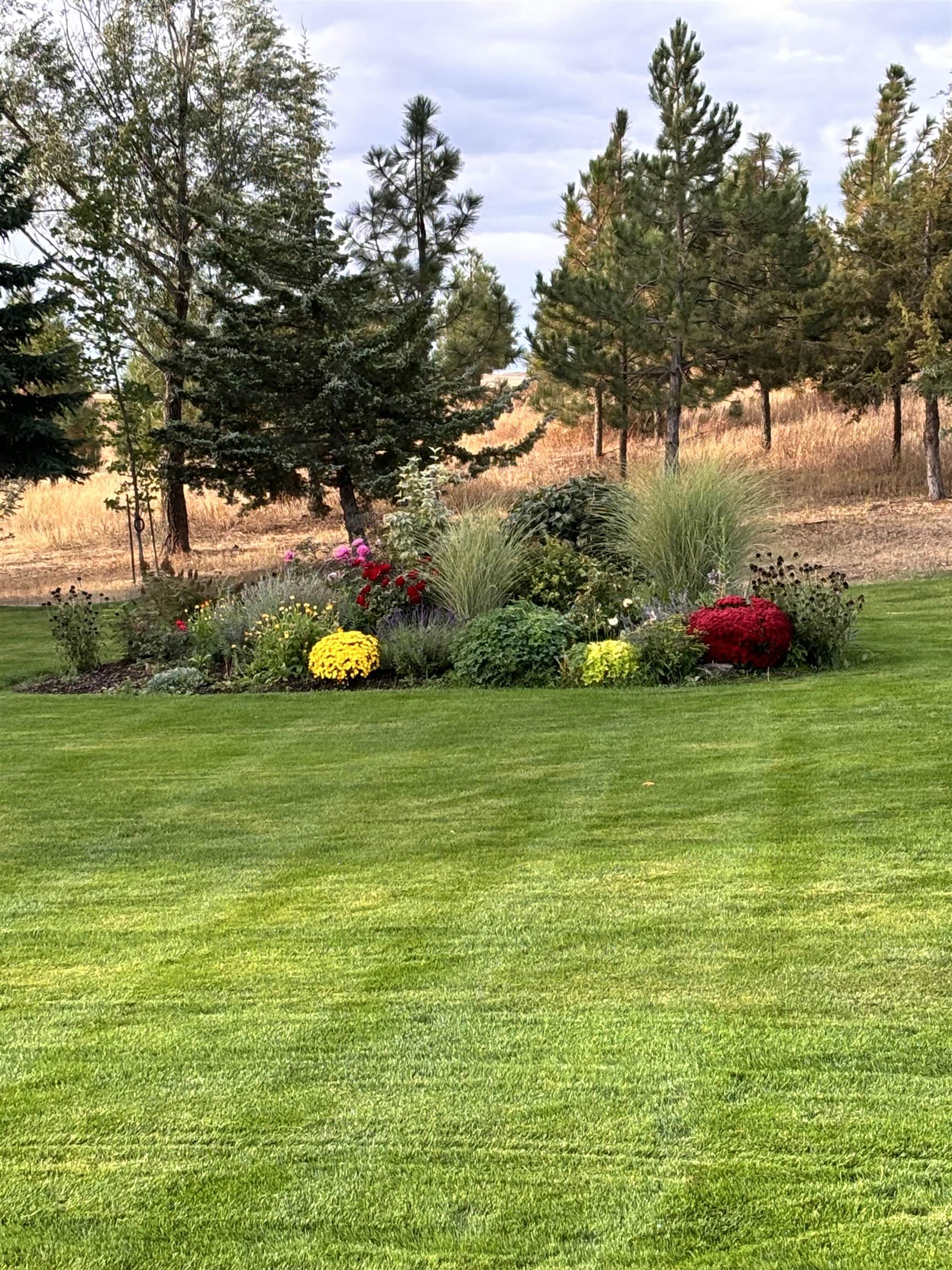 37765 Halme Dr - Photo 45