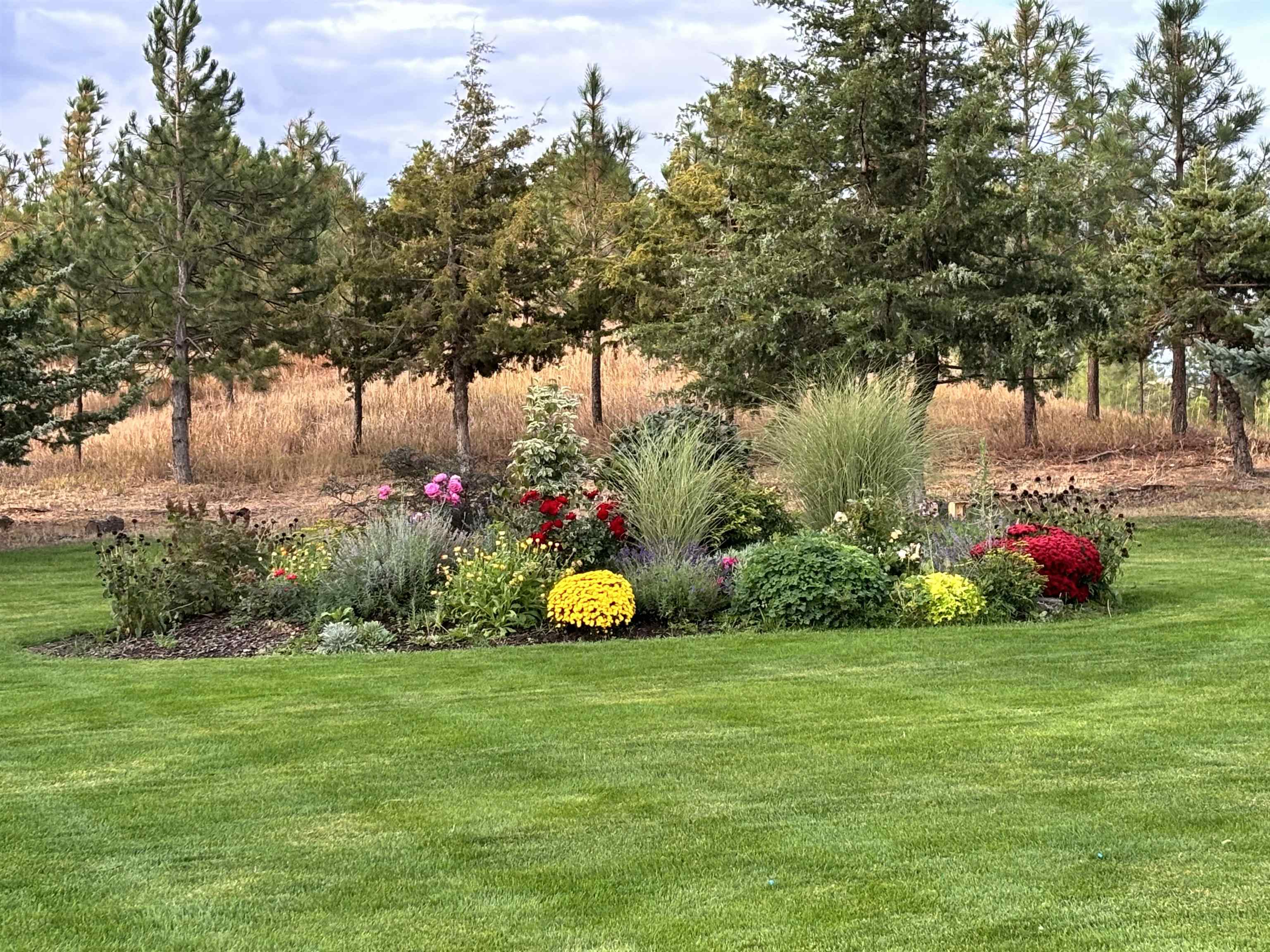 37765 Halme Dr - Photo 46