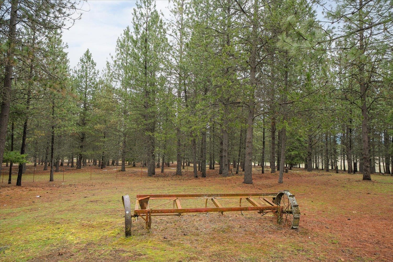 23216 E Morris Rd - Photo 50