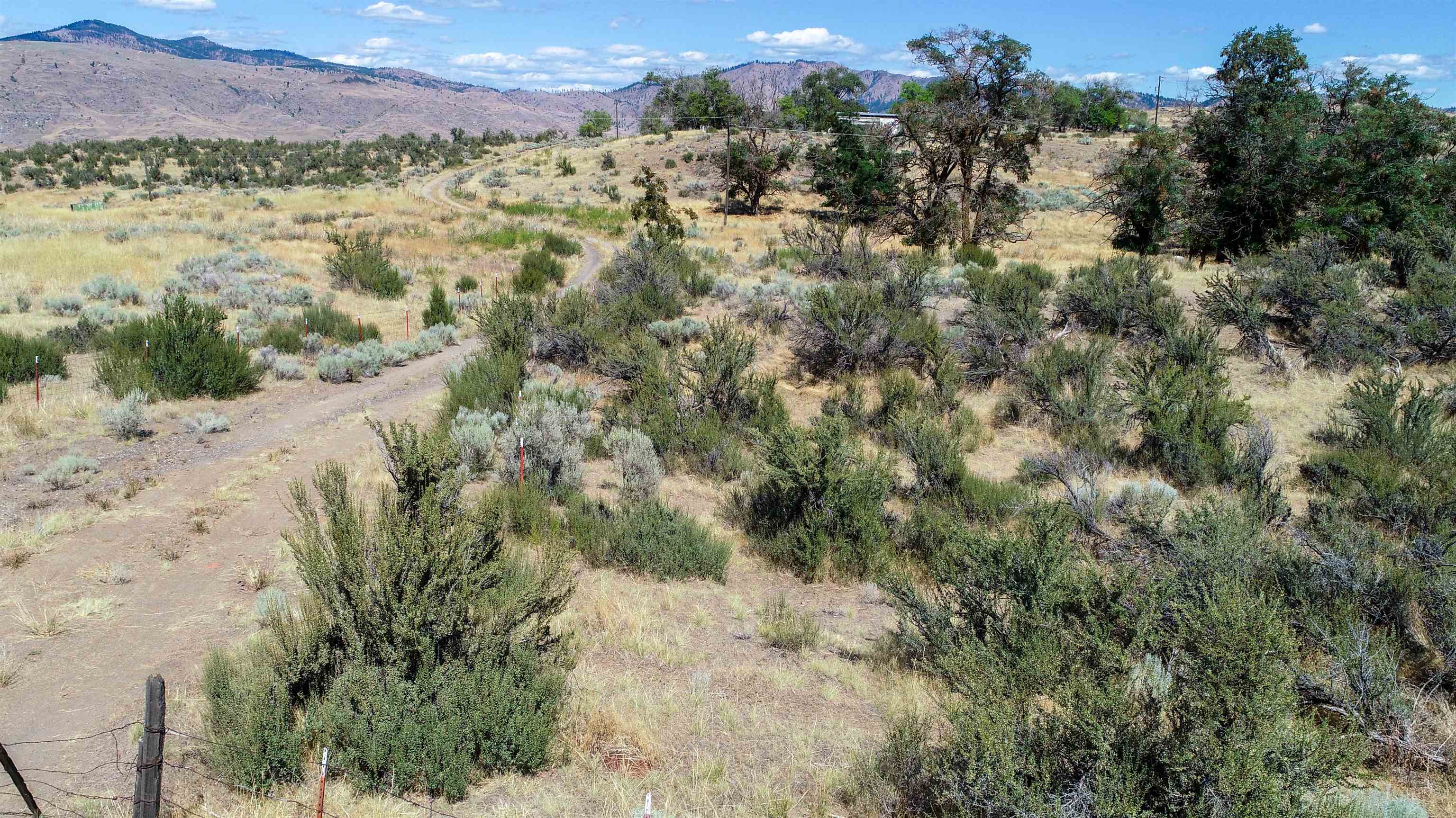 5600 Spring Canyon Rd. E - Photo 15