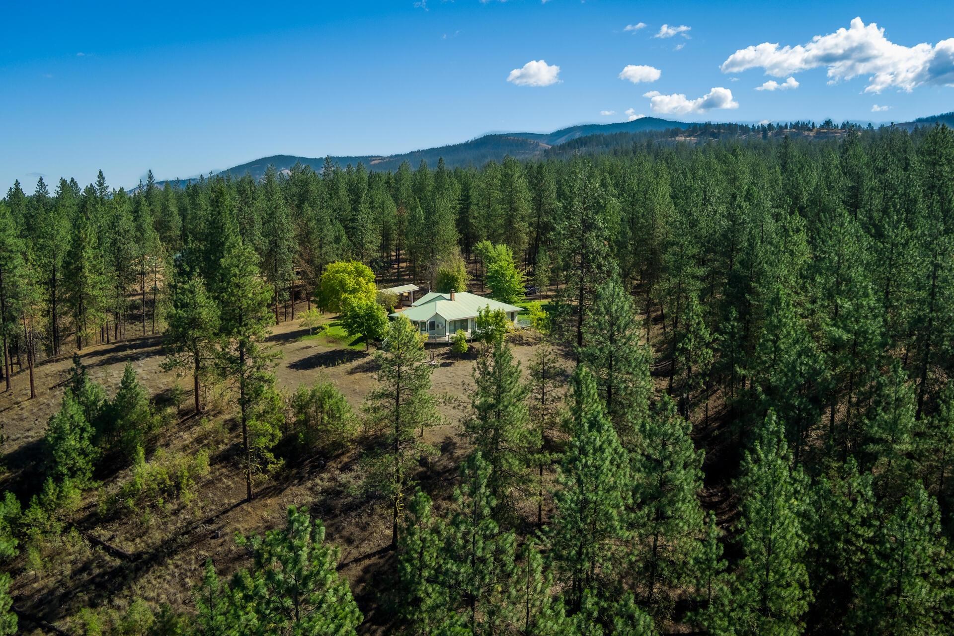 2368 Eagle River Way - Photo 4