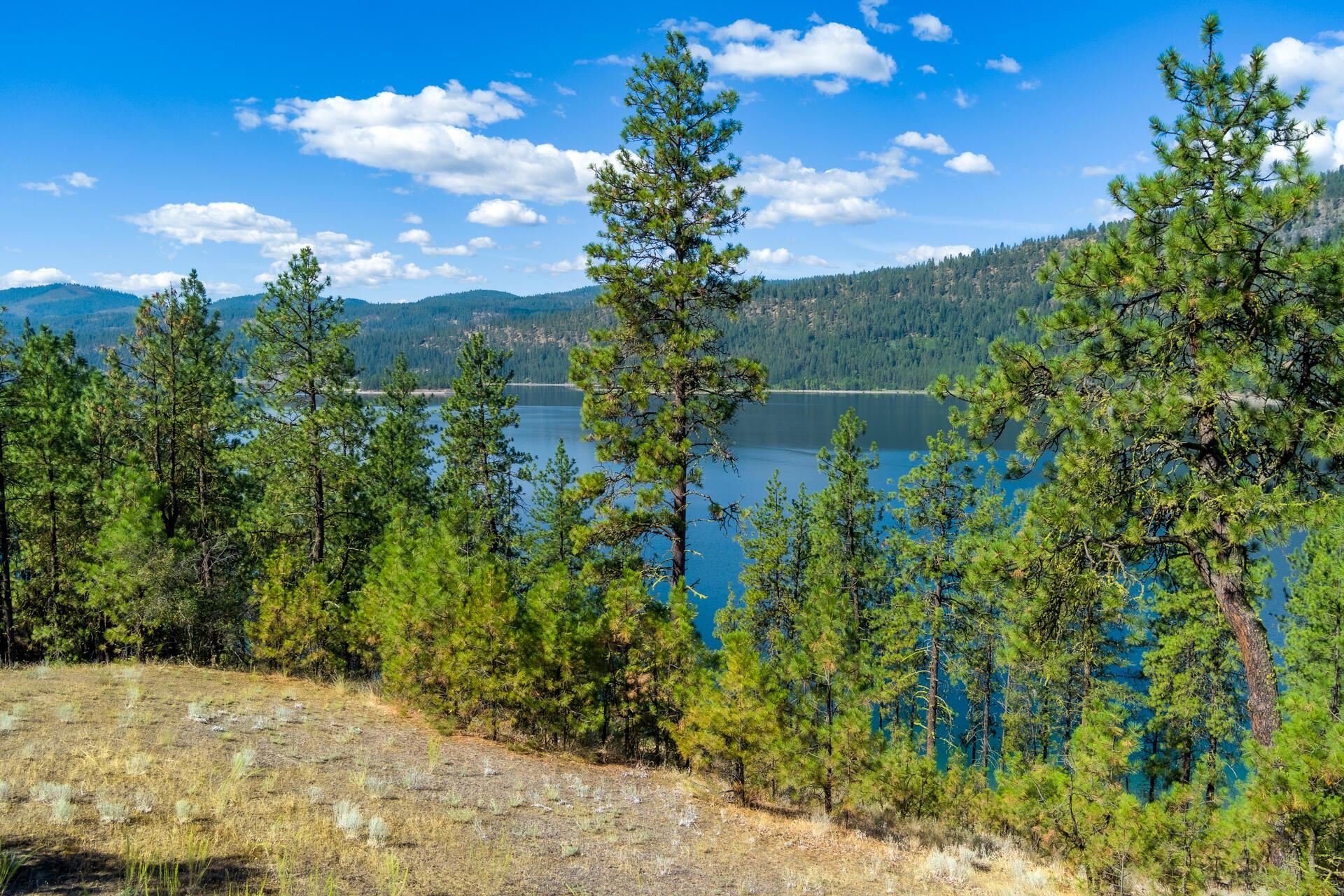 2368 Eagle River Way - Photo 9