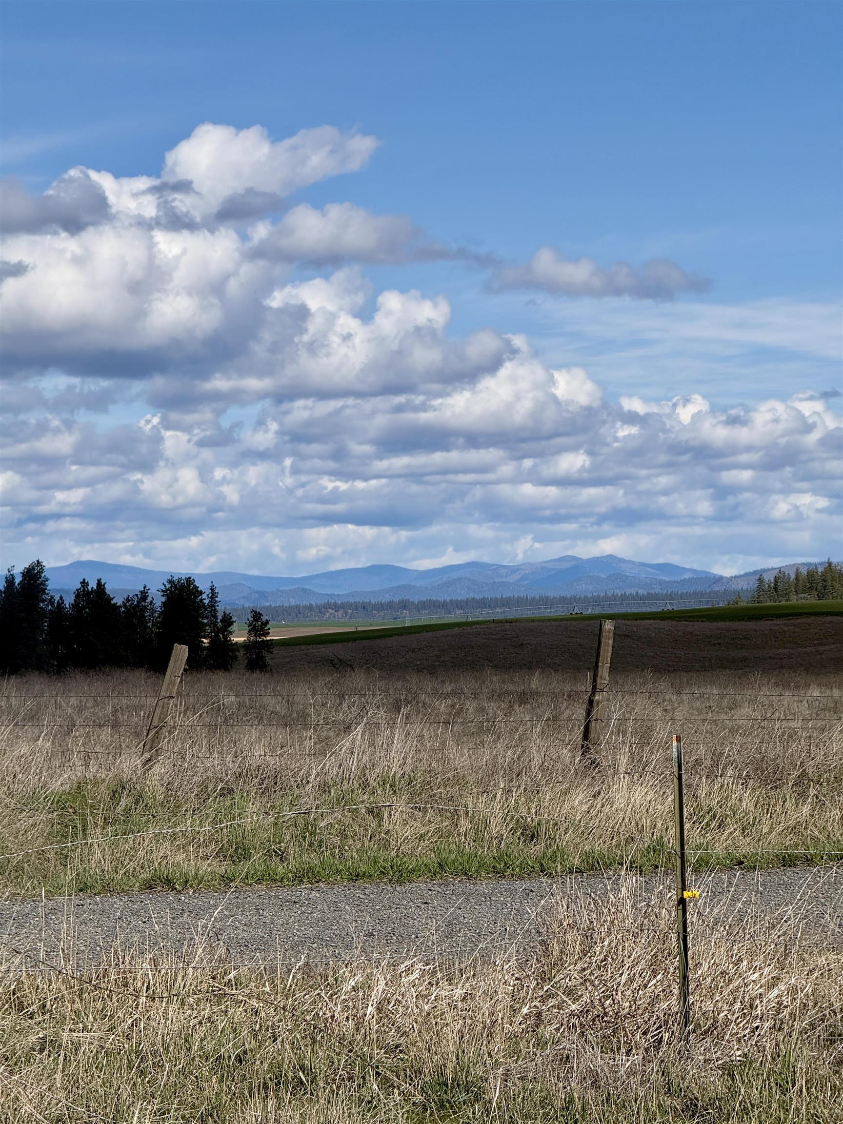 49546 Fisher E Rd - Photo 1