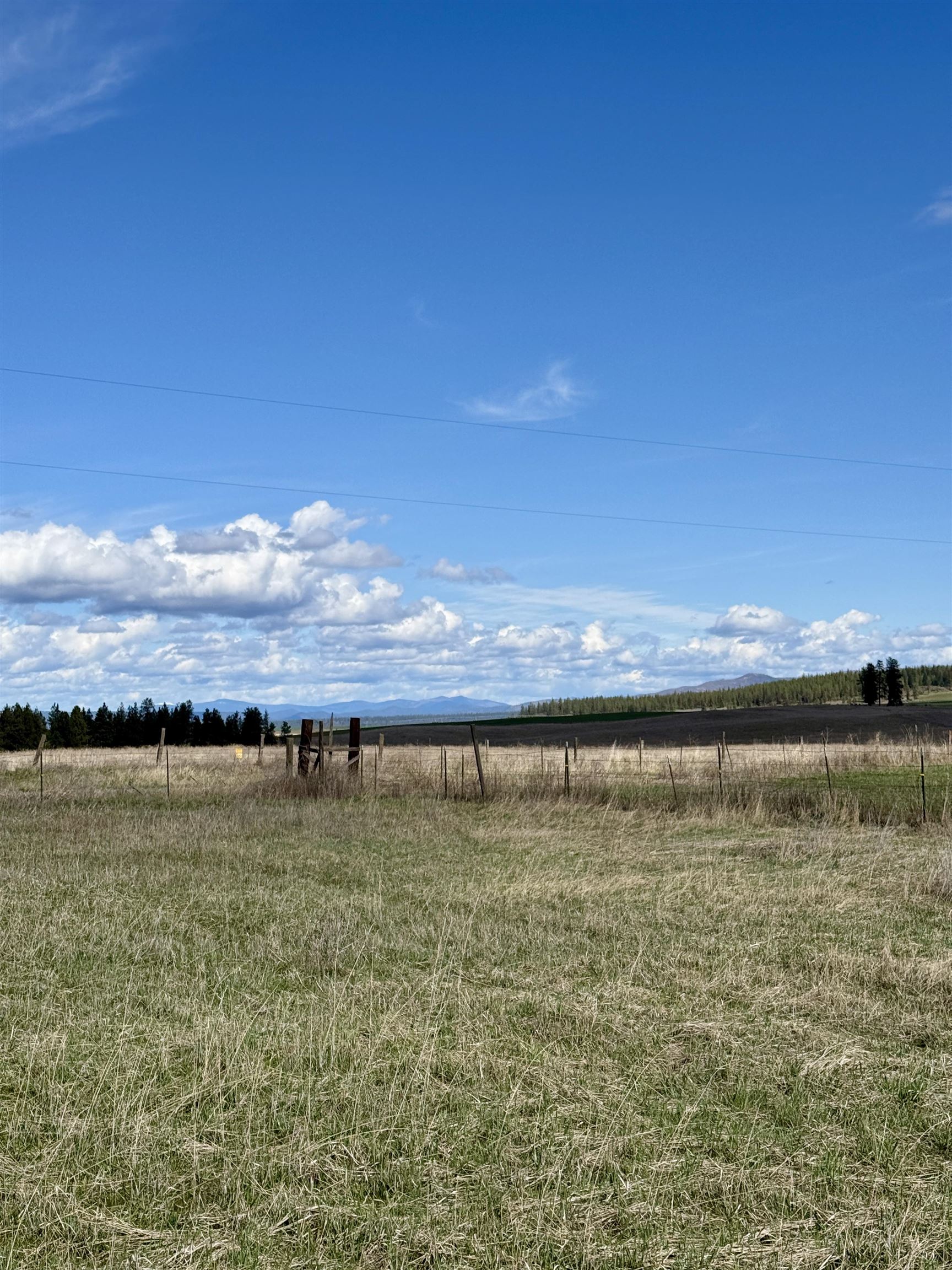 49546 Fisher E Rd - Photo 2