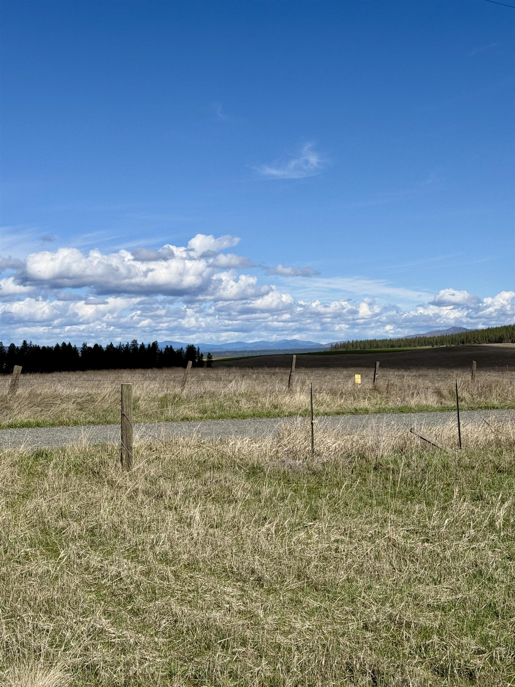 49546 Fisher E Rd - Photo 3
