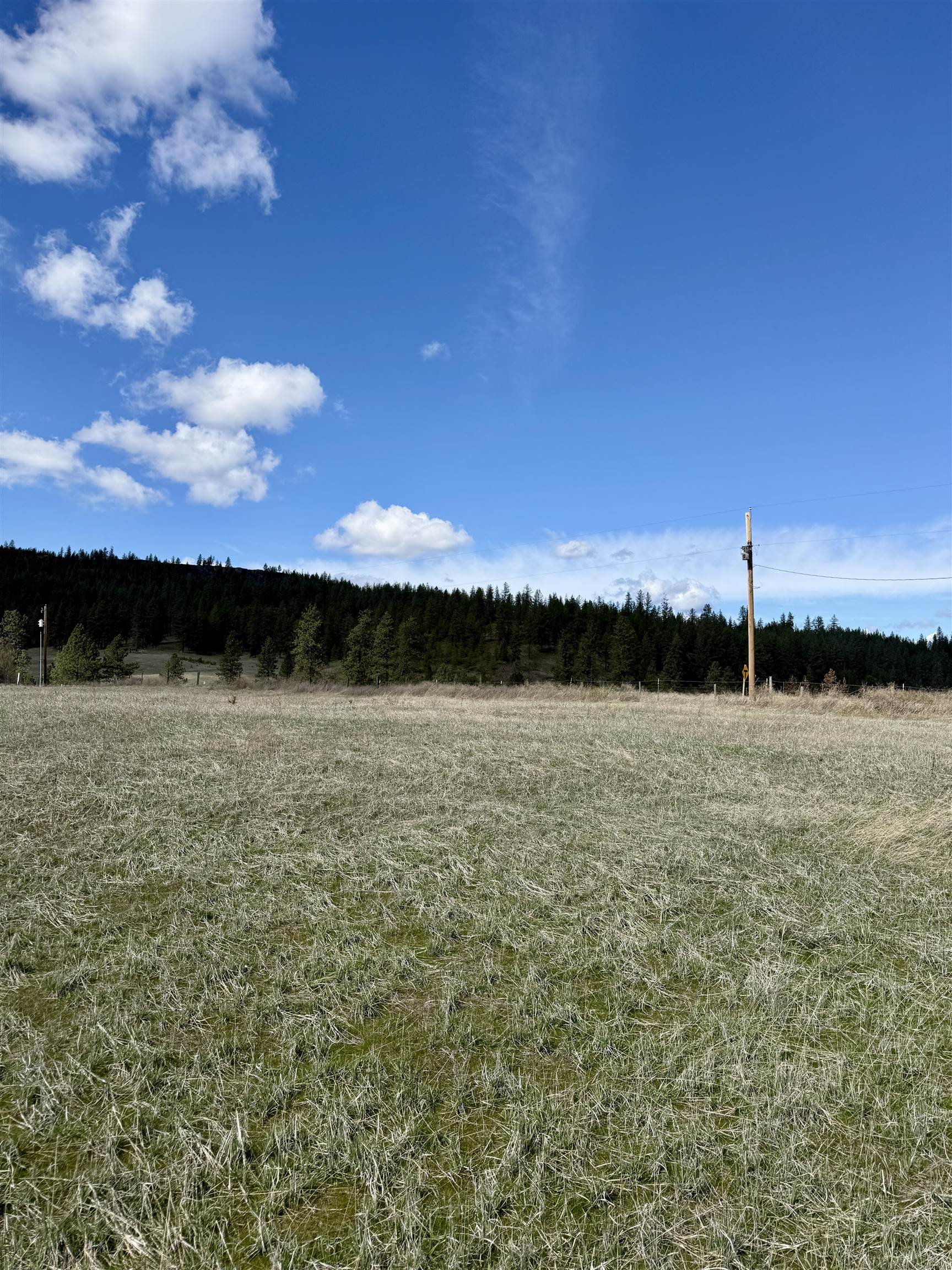 49546 Fisher E Rd - Photo 4