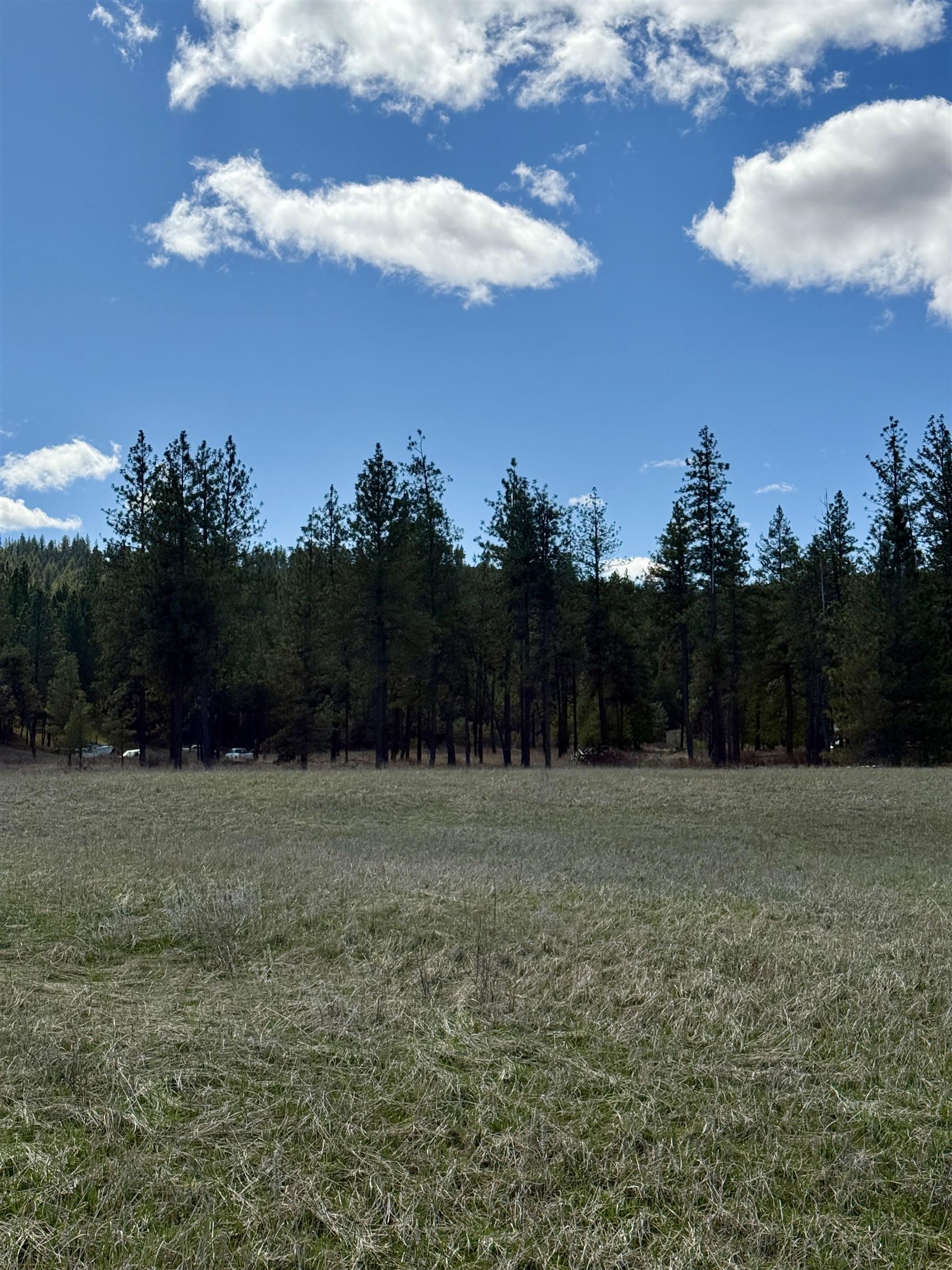 49546 Fisher E Rd - Photo 5