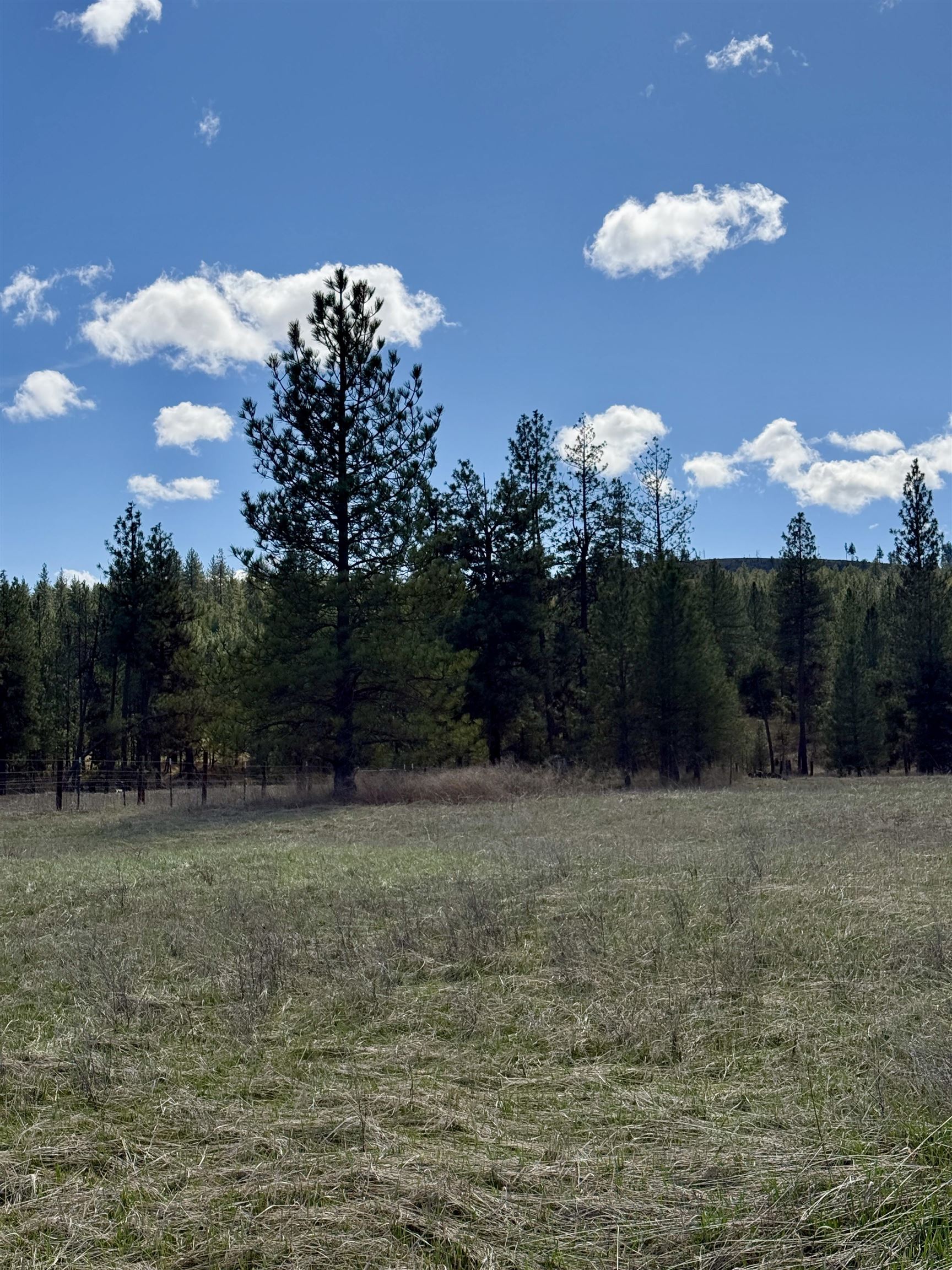 49546 Fisher E Rd - Photo 6