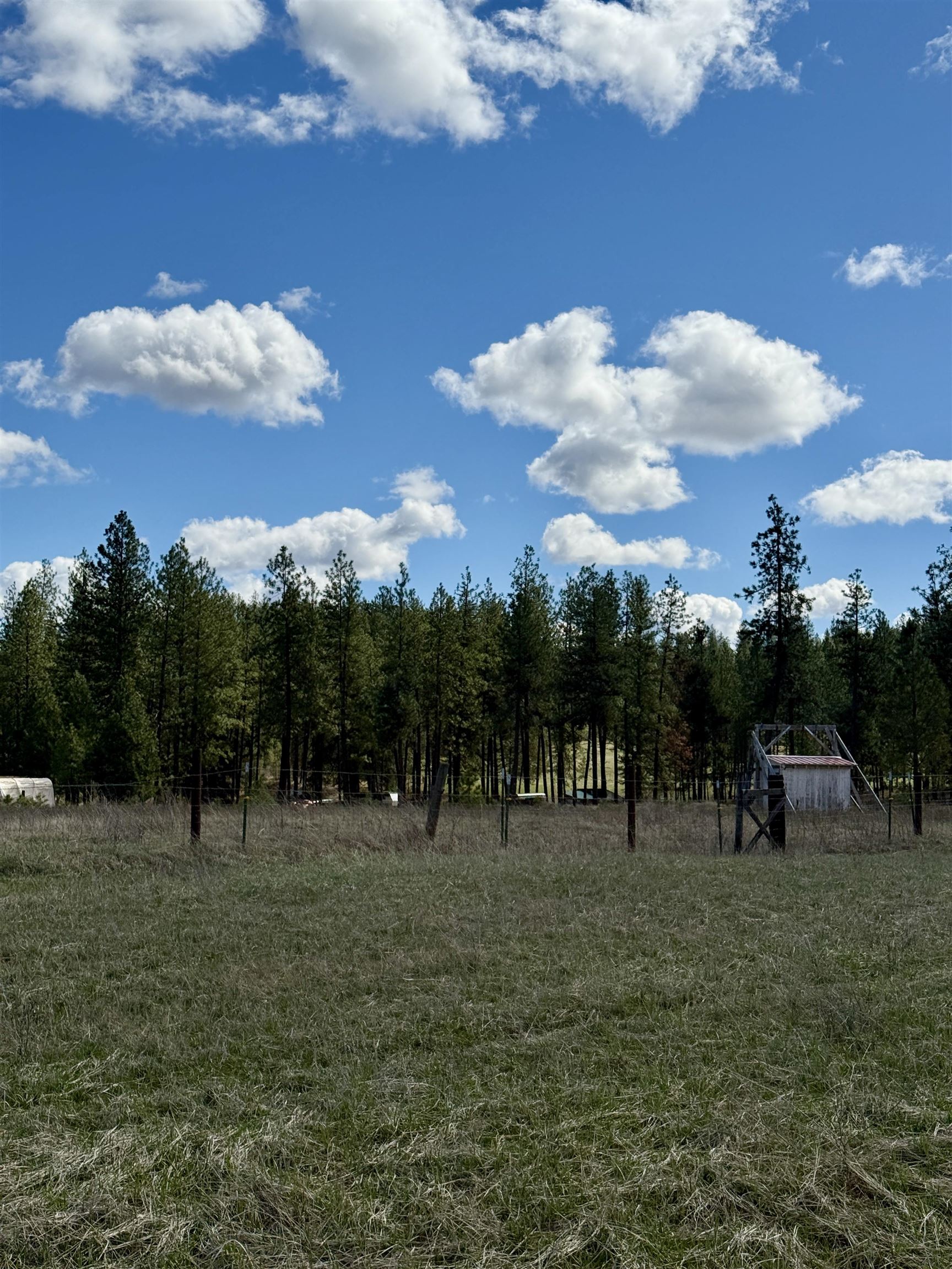 49546 Fisher E Rd - Photo 7