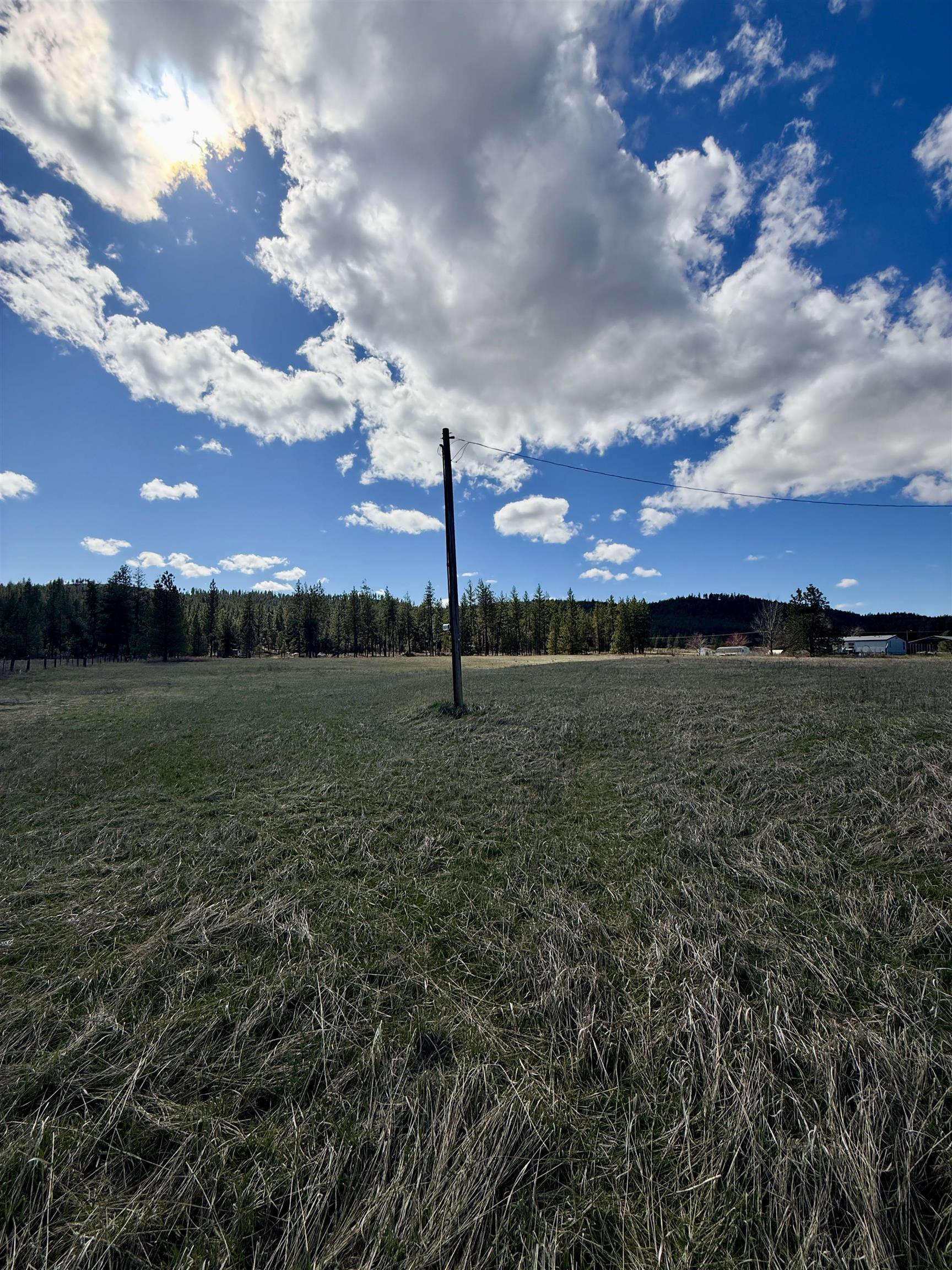 49546 Fisher E Rd - Photo 8