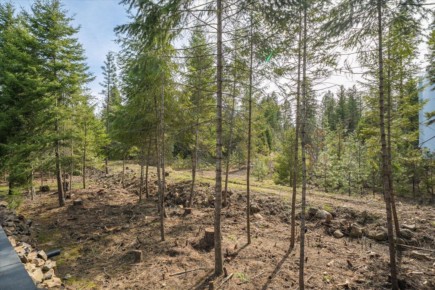 1208 E Silver Pine Rd - Photo 33
