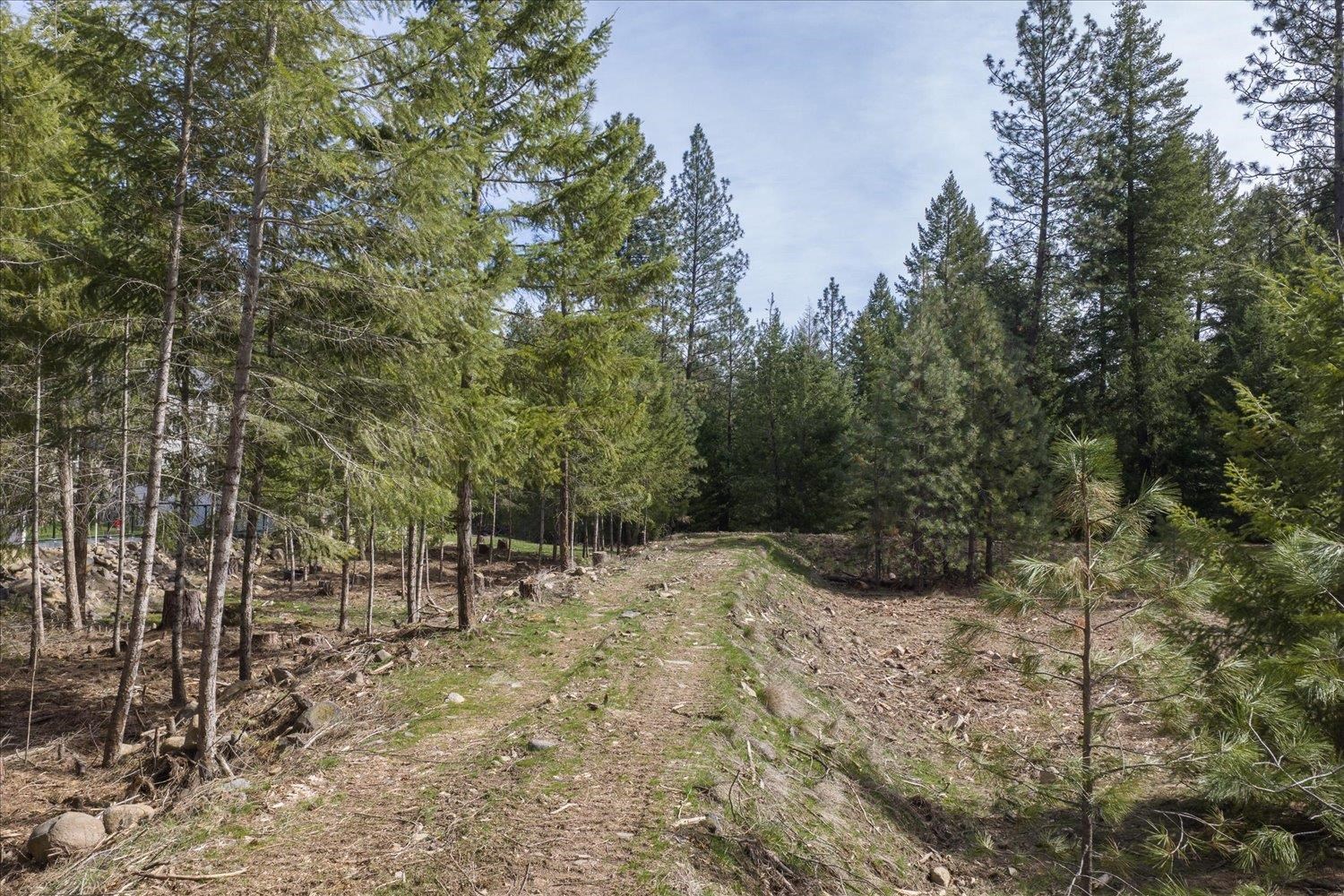 1208 E Silver Pine Rd - Photo 37