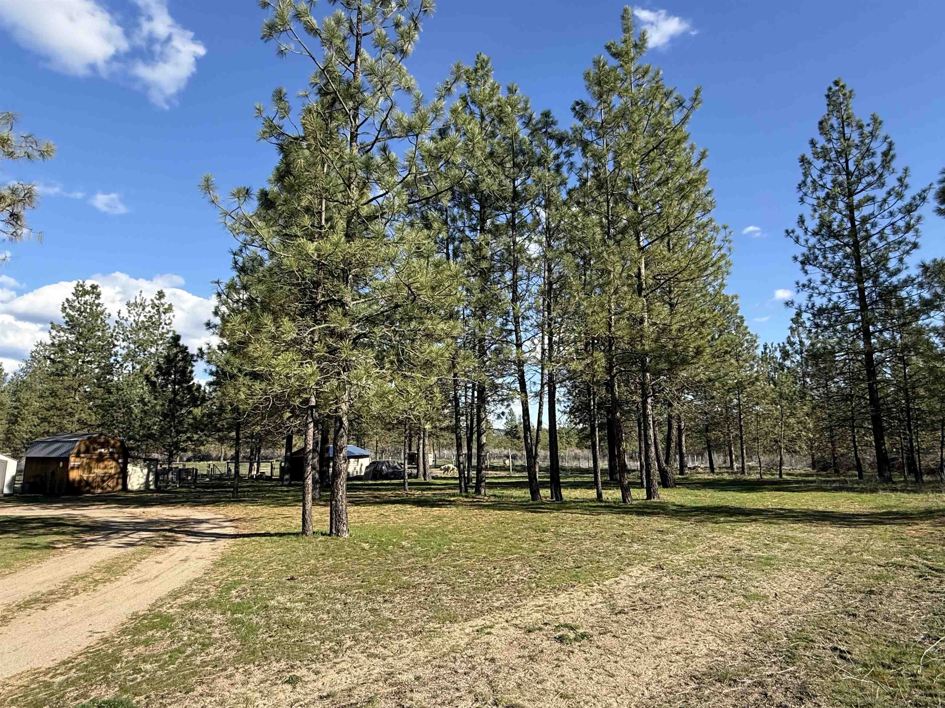 48568 E Bull Run Rd - Photo 32