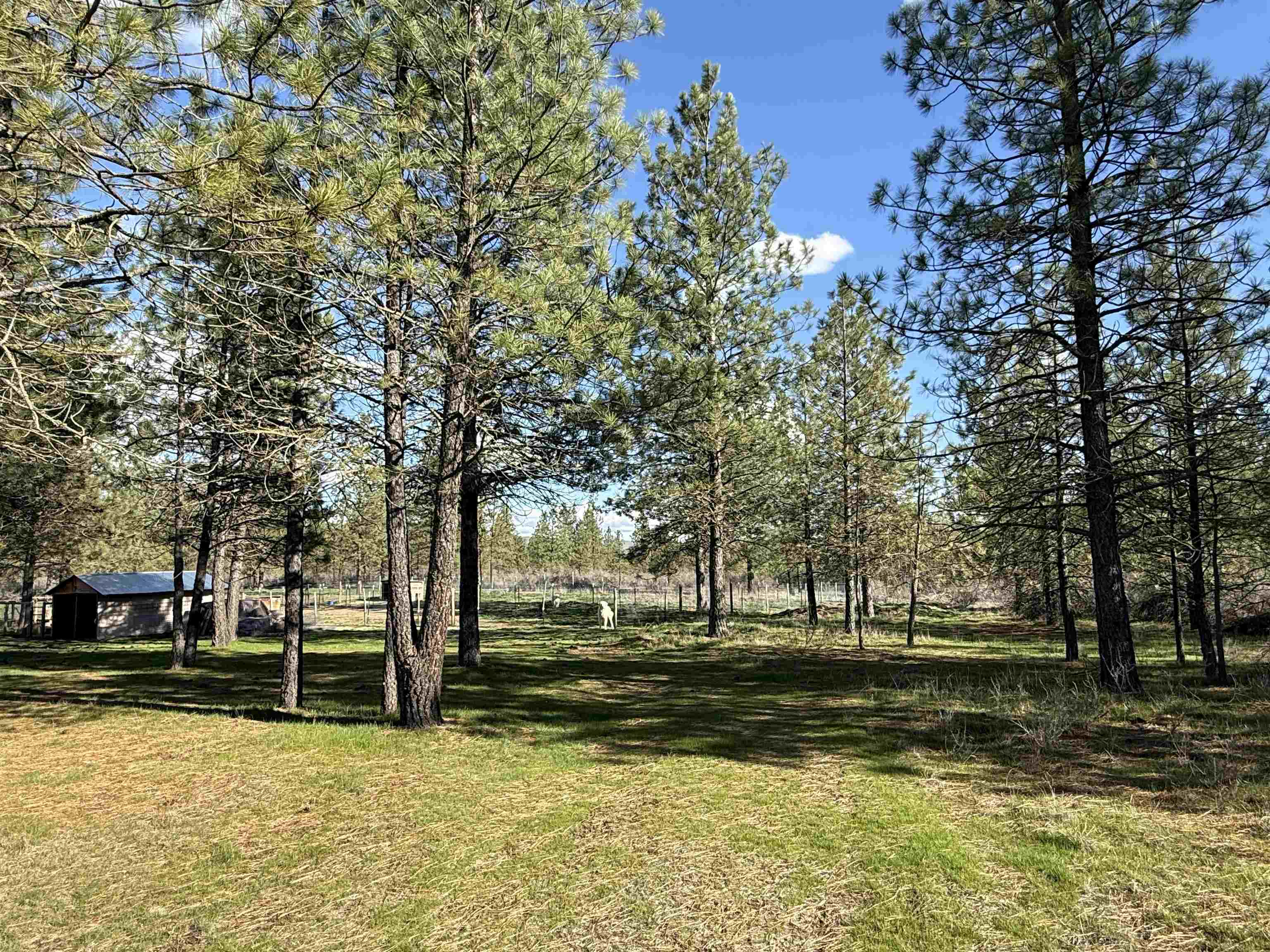 48568 E Bull Run Rd - Photo 33