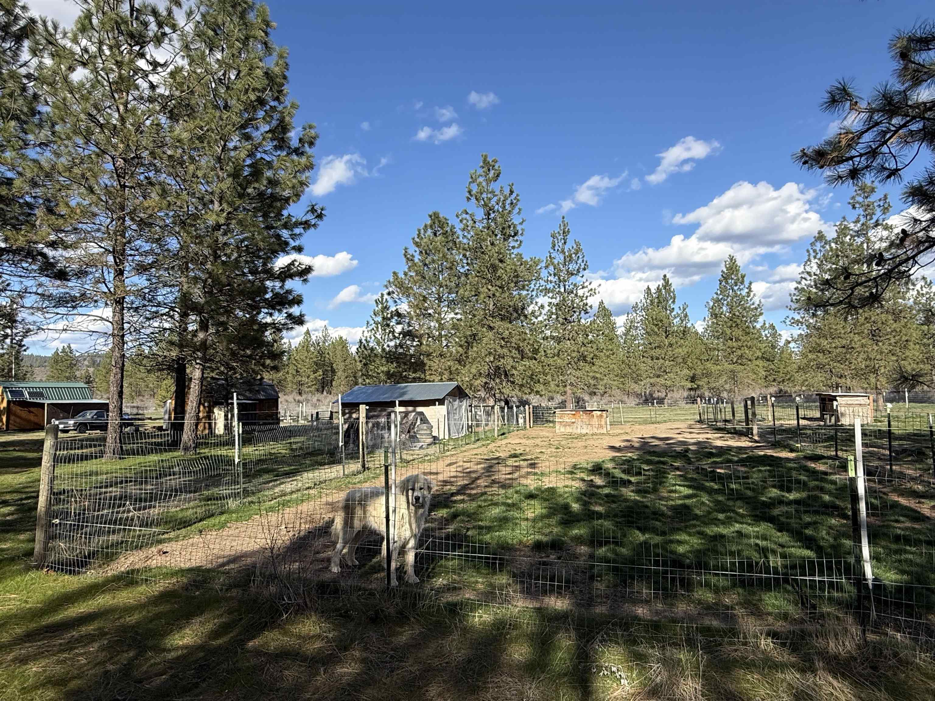 48568 E Bull Run Rd - Photo 35