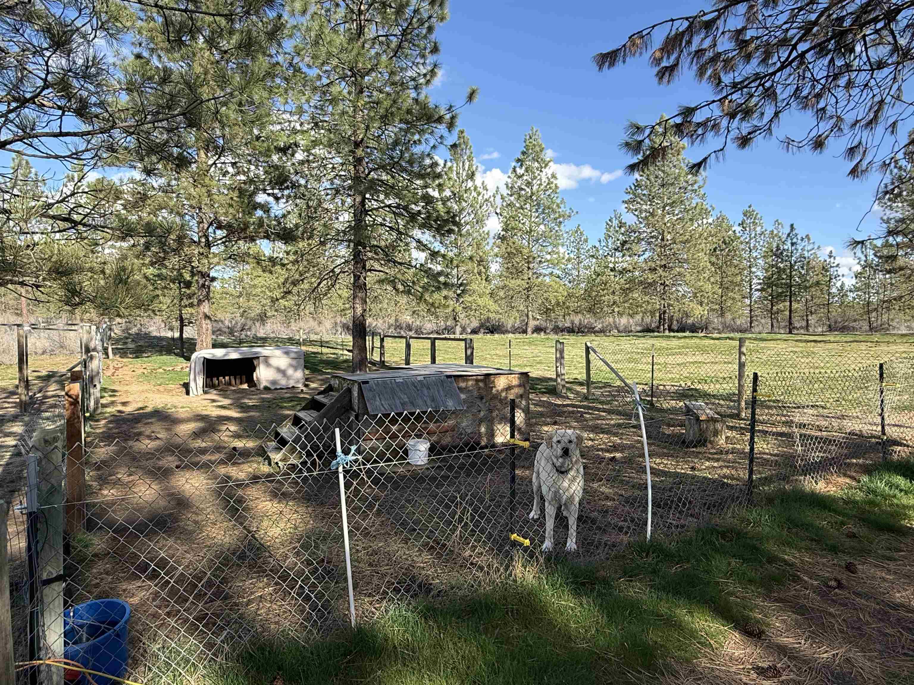 48568 E Bull Run Rd - Photo 37