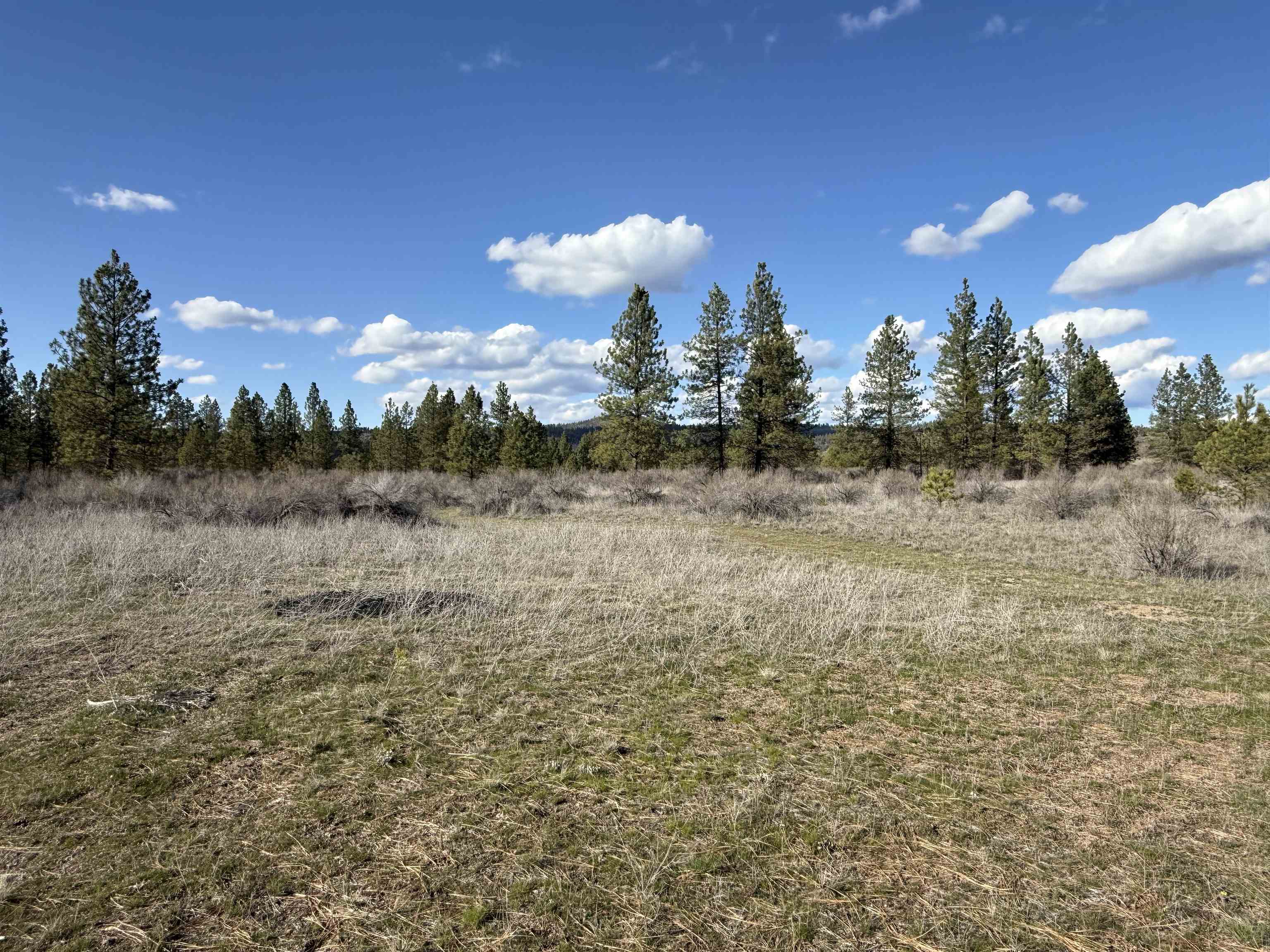 48568 E Bull Run Rd - Photo 5