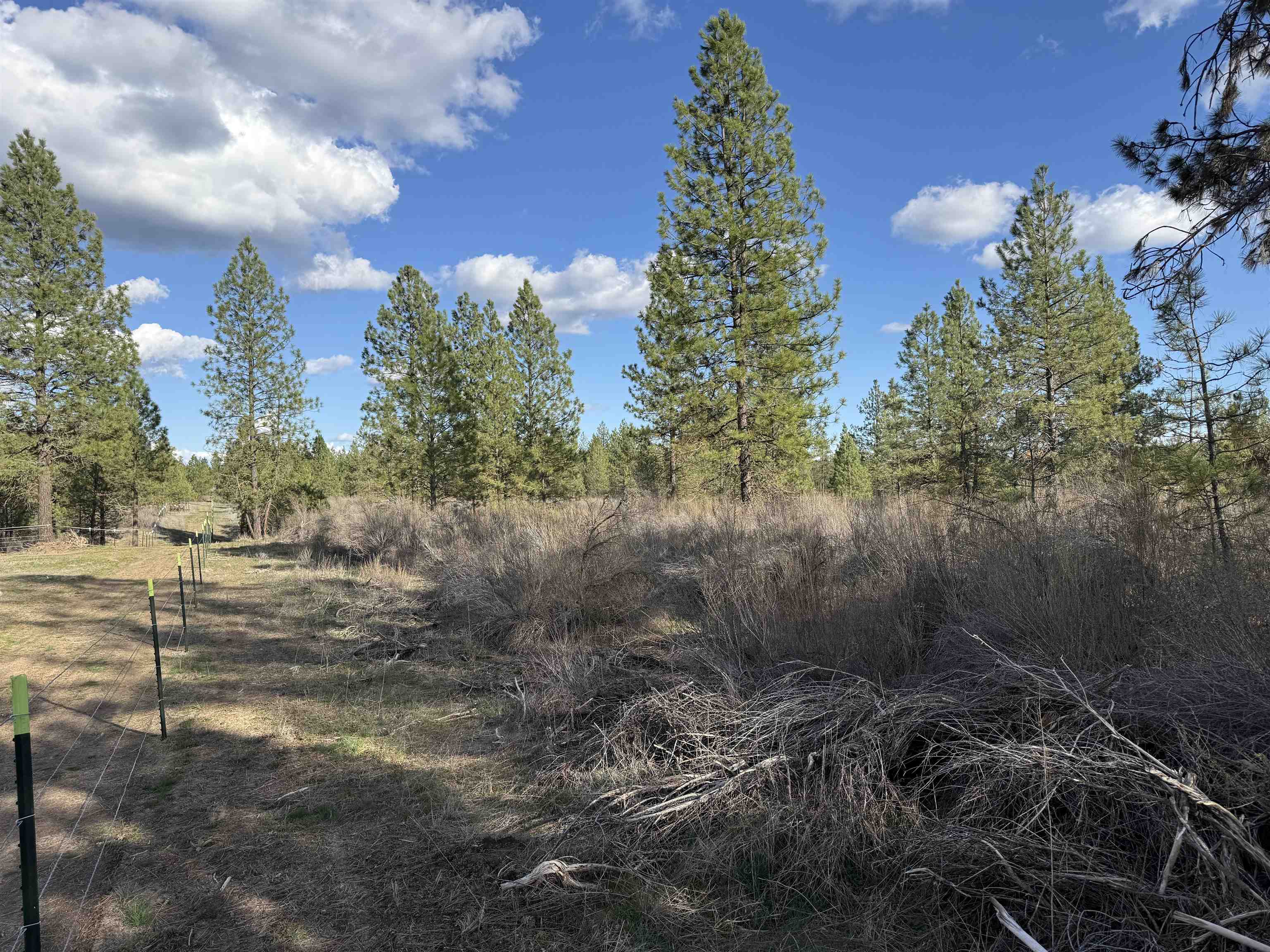 48568 E Bull Run Rd - Photo 42