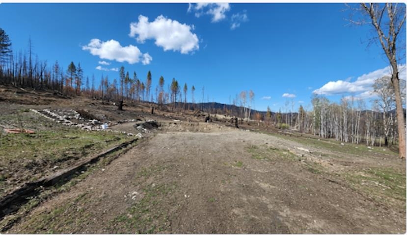 2433 B Widow Rd - Photo 8