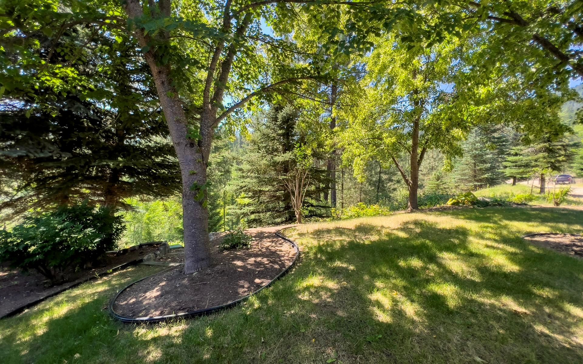 169 Barnaby Creek South Side Rd - Photo 18